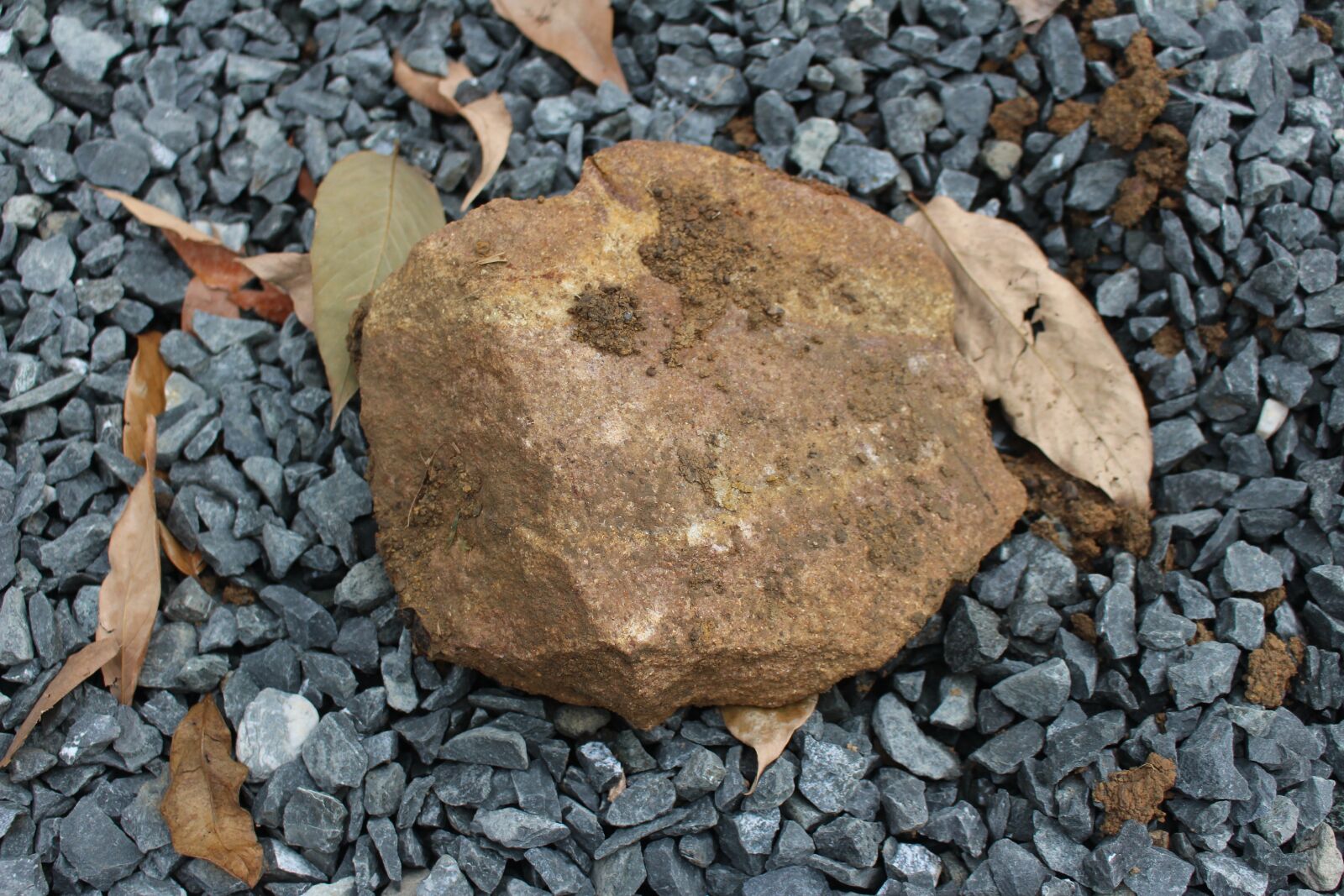 Canon EOS 700D (EOS Rebel T5i / EOS Kiss X7i) sample photo. Stone, nature, rock photography