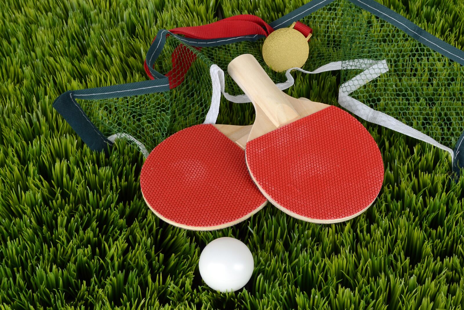 Nikon D7100 sample photo. Table tennis, ping-pong, bat photography