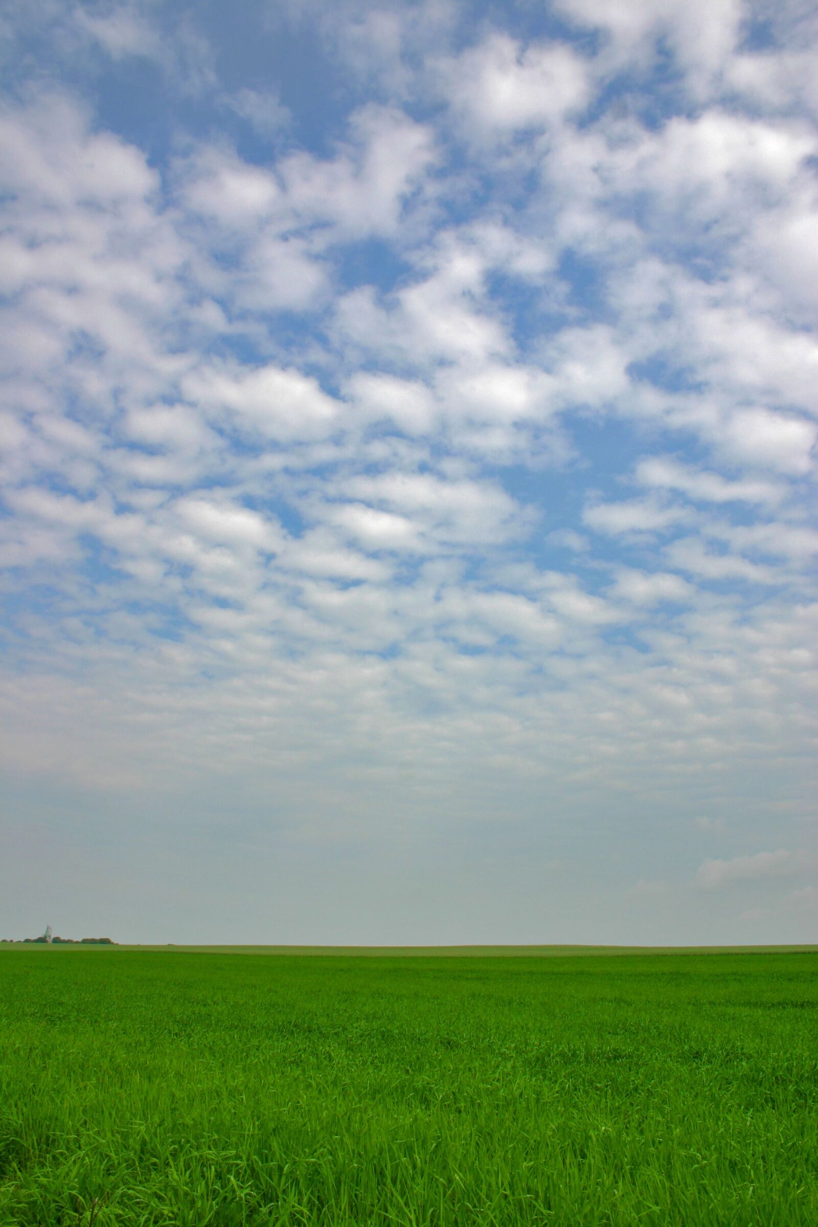 Canon EOS 300D (EOS Digital Rebel / EOS Kiss Digital) sample photo. Blue sky, grass, summer photography