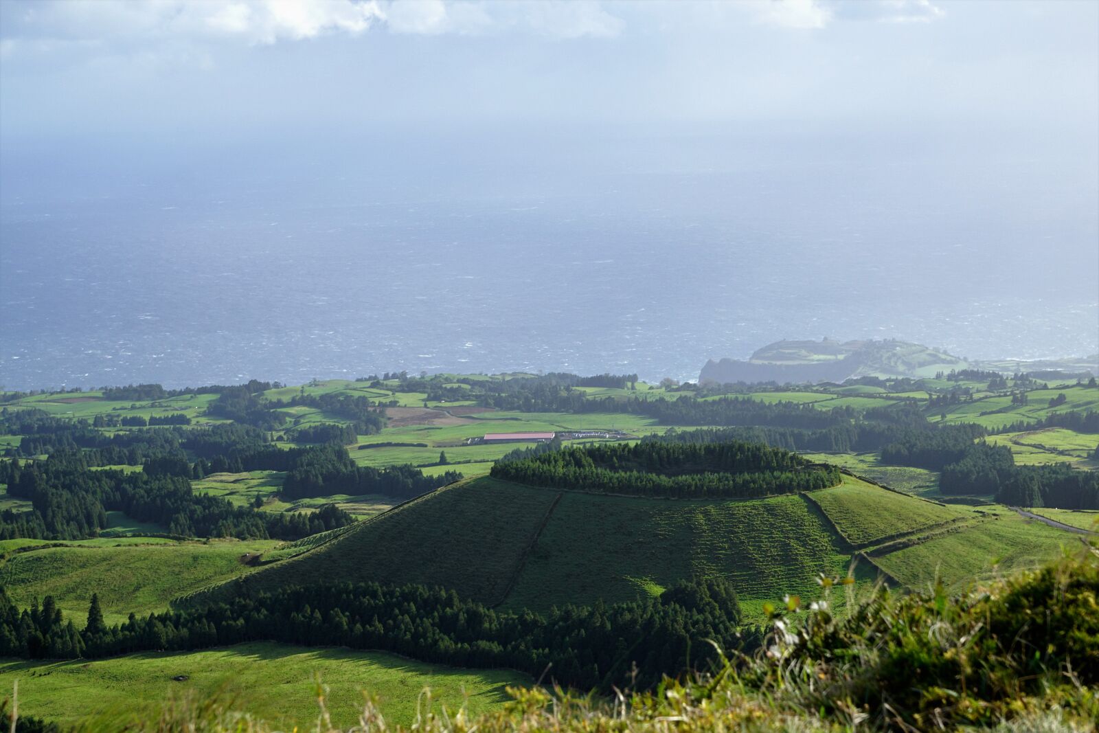 Sony ILCA-77M2 + Sony DT 16-50mm F2.8 SSM sample photo. Azores, portugal, nature photography