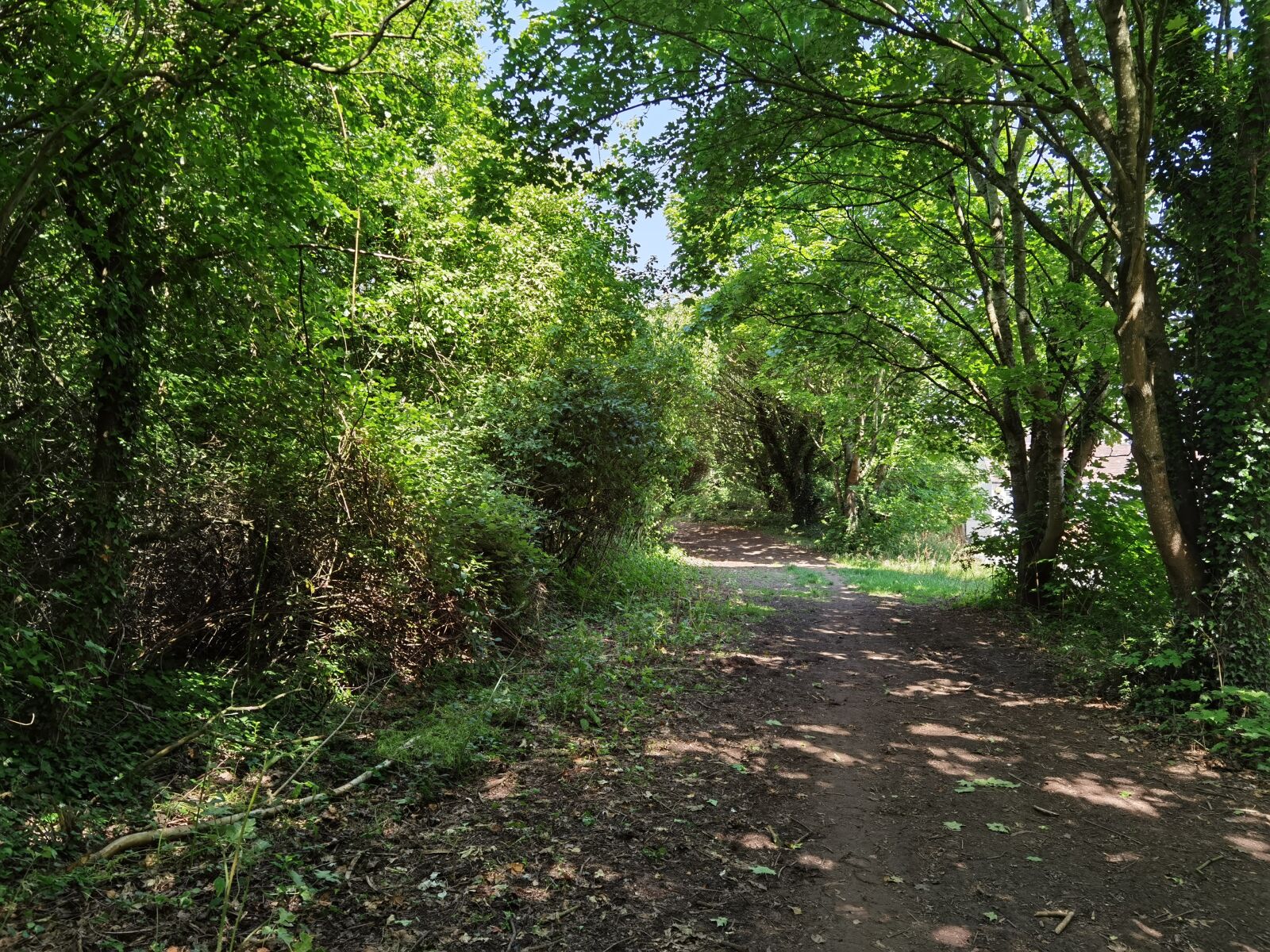 HUAWEI ELS-NX9 sample photo. Malvern, united kingdom, worcestershire photography
