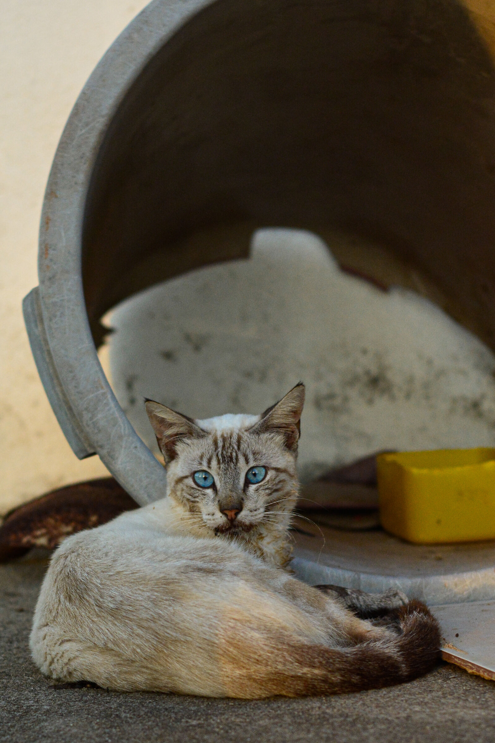 Nikon D5200 sample photo