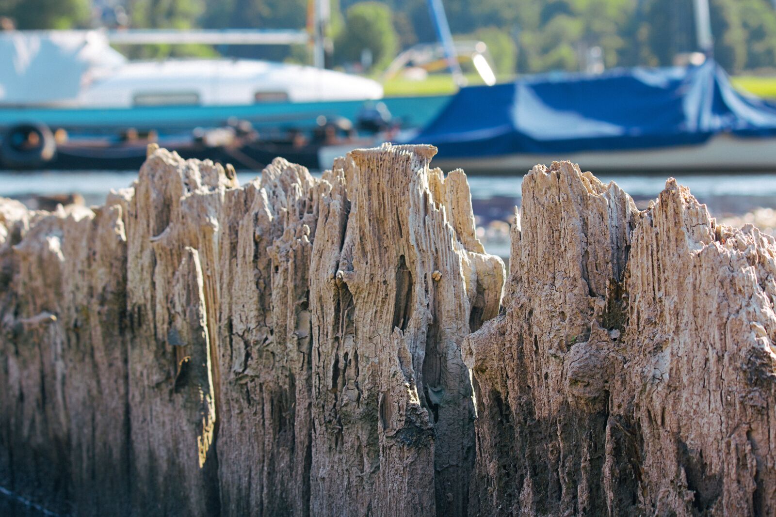 Canon EOS 600D (Rebel EOS T3i / EOS Kiss X5) sample photo. Structure, nature, coast photography
