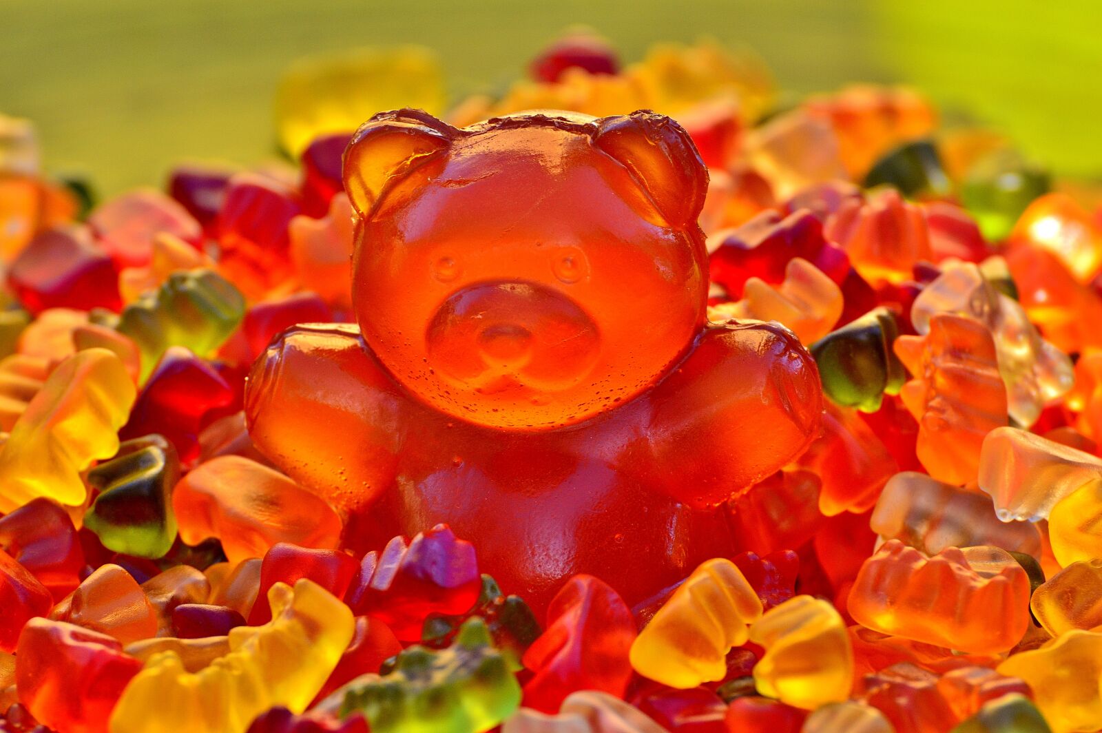 Nikon D3200 sample photo. Giant rubber bear, gummib photography