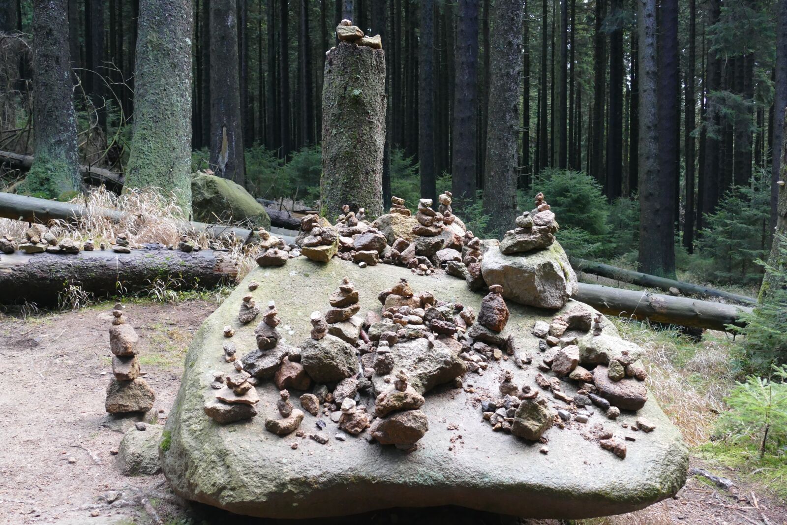 Panasonic Lumix DMC-FZ1000 sample photo. Stone figures, stone landscape photography