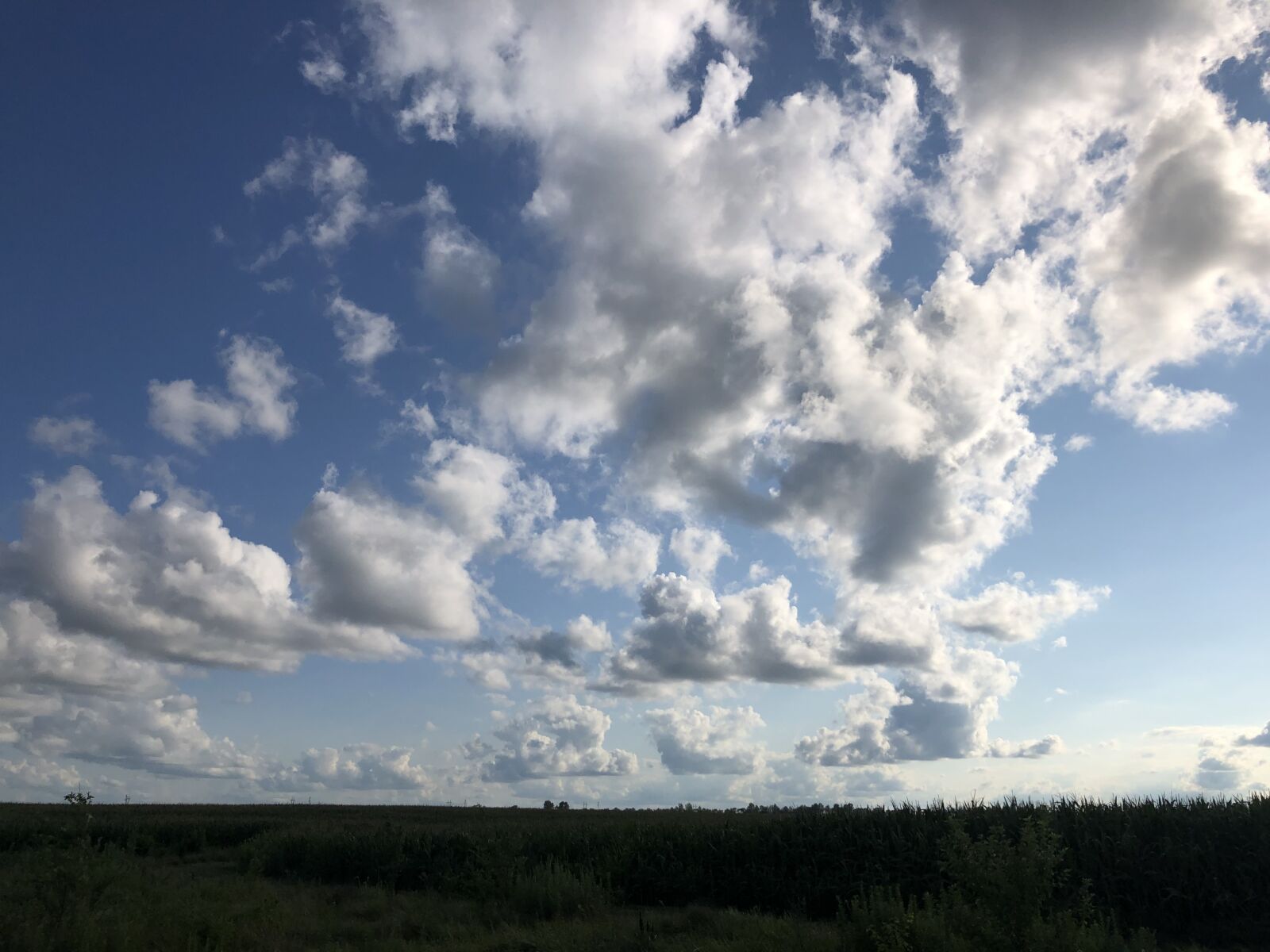 iPhone X back dual camera 4mm f/1.8 sample photo. Peace, dream, nature photography