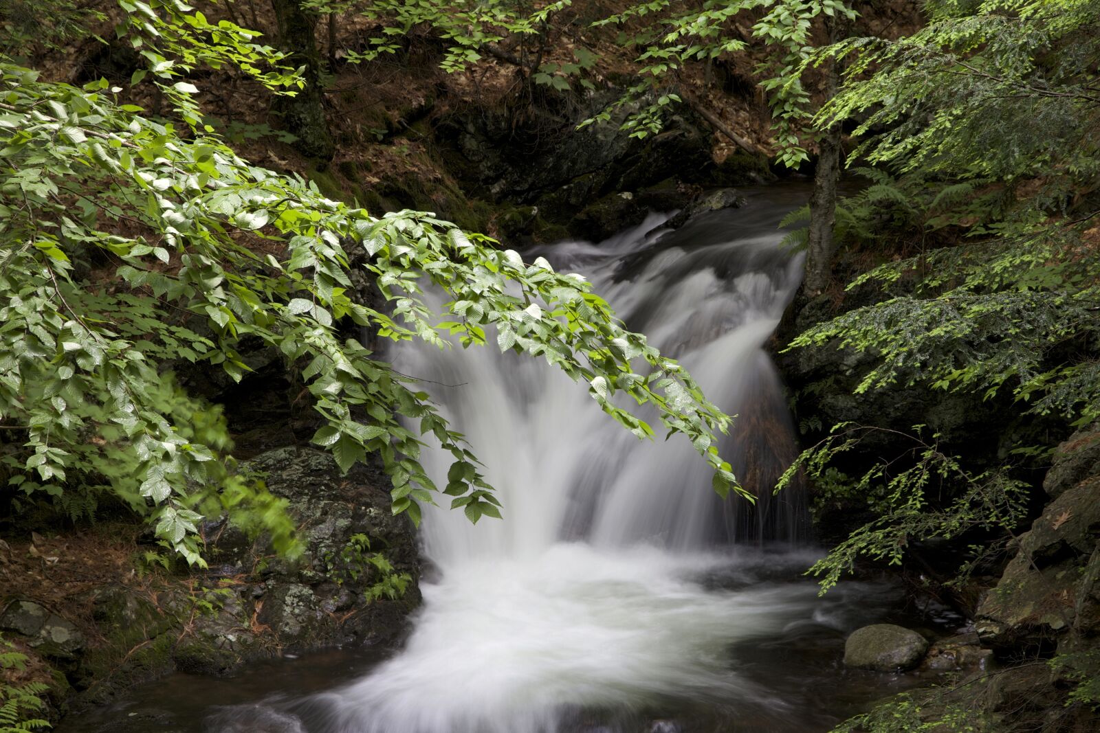 Canon EOS 6D sample photo. Waterfall, creek, river, green photography