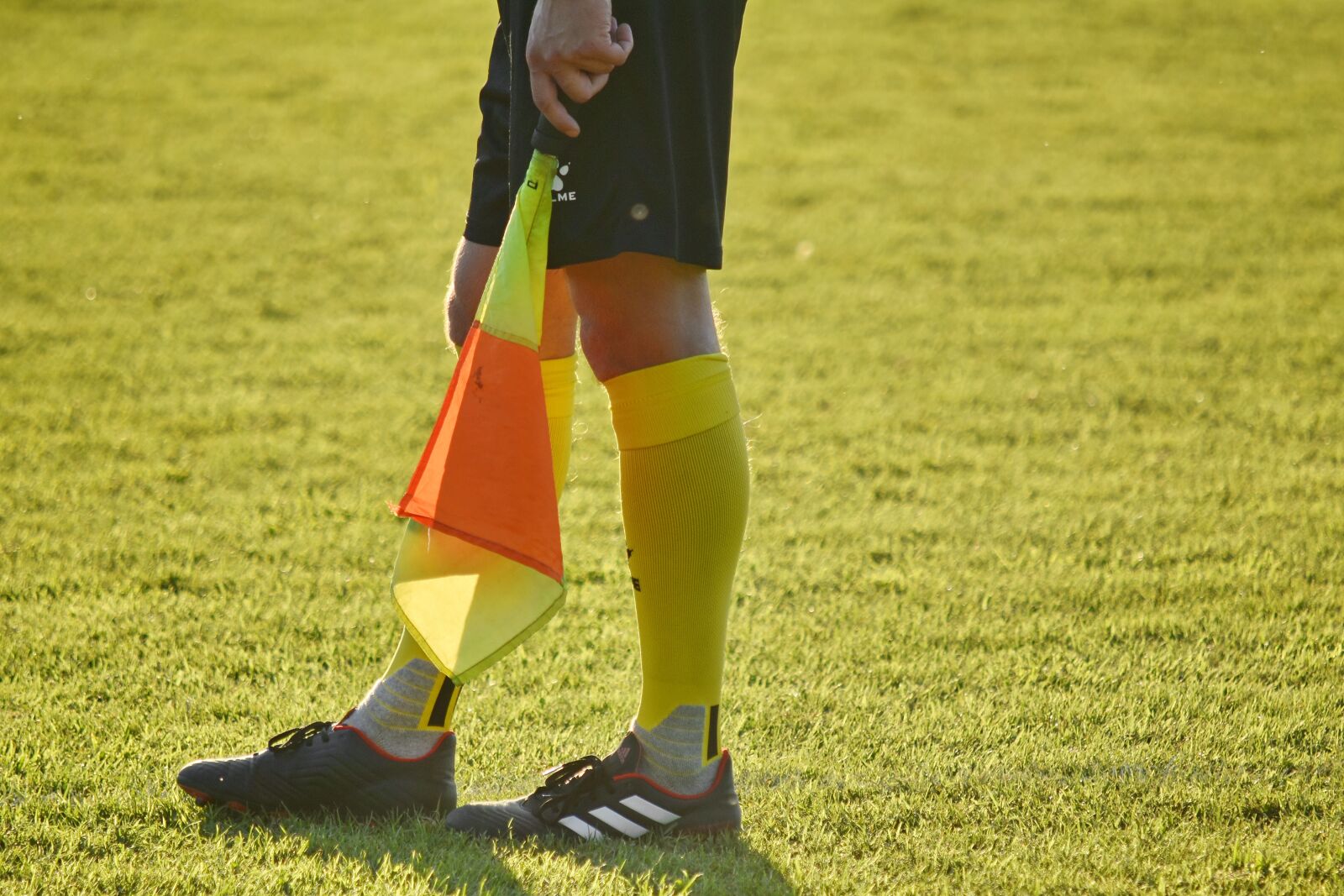 Nikon D5500 sample photo. Flag, football, judge, soccer photography