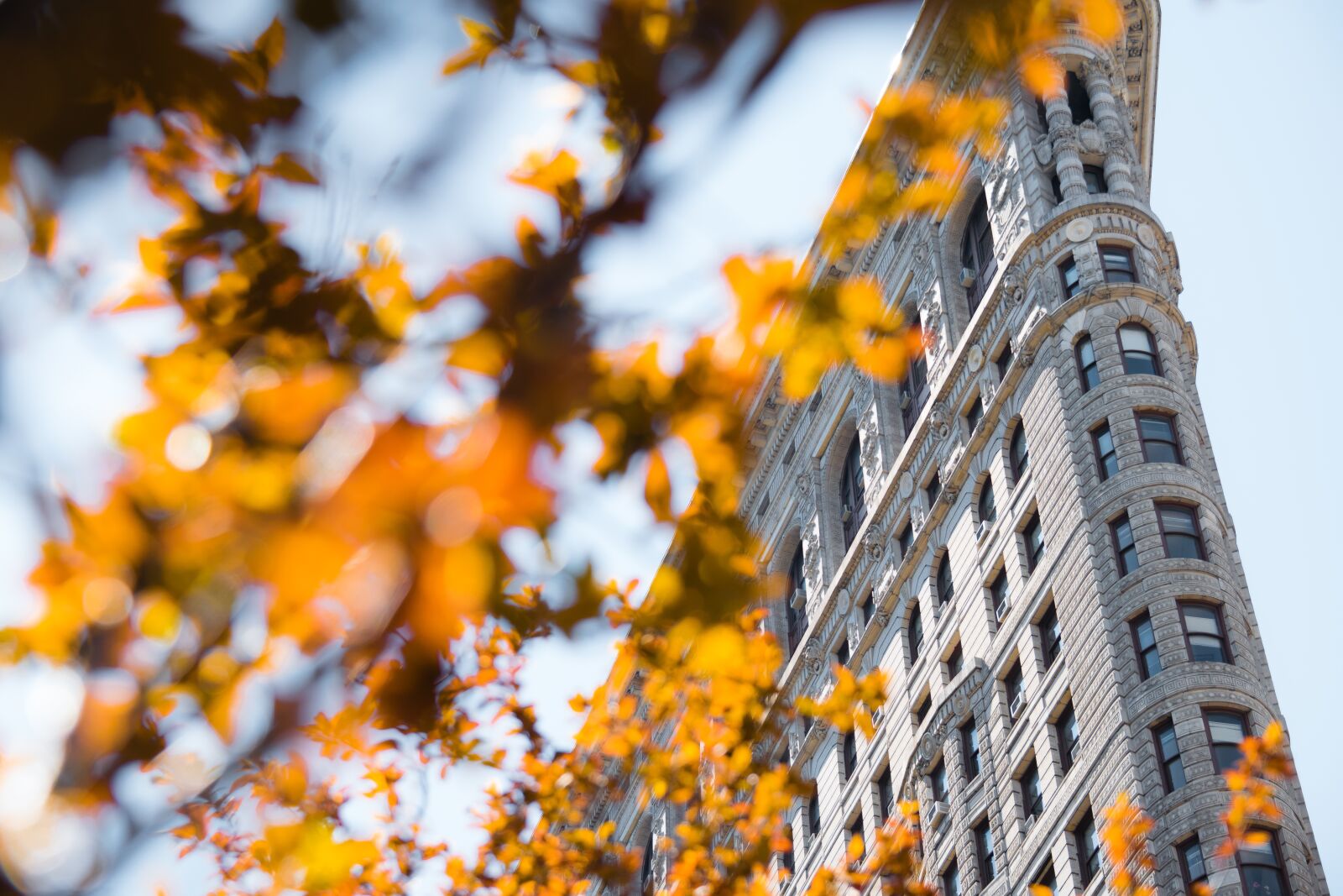 Nikon D3300 sample photo. Flatiron building, building, new photography