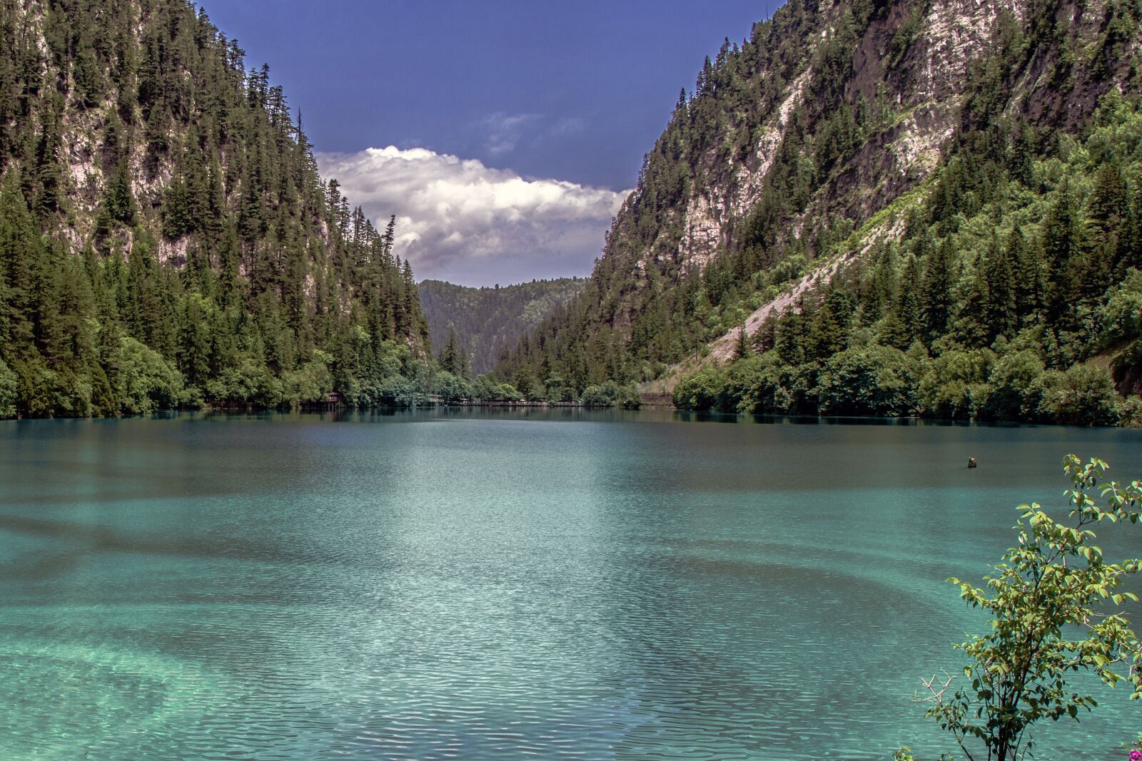 Canon EOS 80D sample photo. Jiuzhaigou, water, heaven on photography