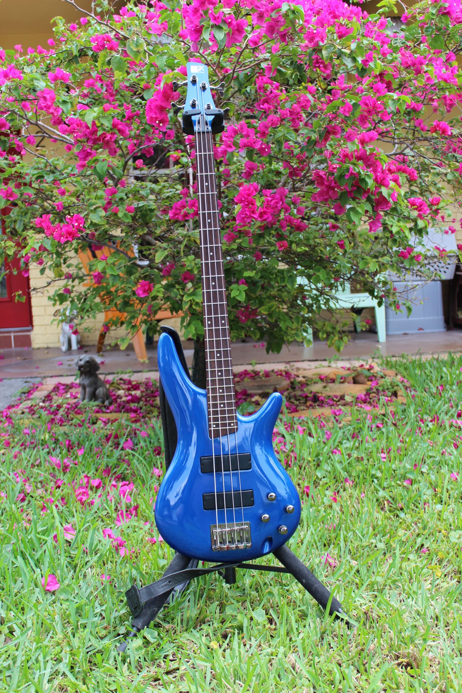 Canon EOS 600D (Rebel EOS T3i / EOS Kiss X5) sample photo. Guitar, blue guitar, electric photography