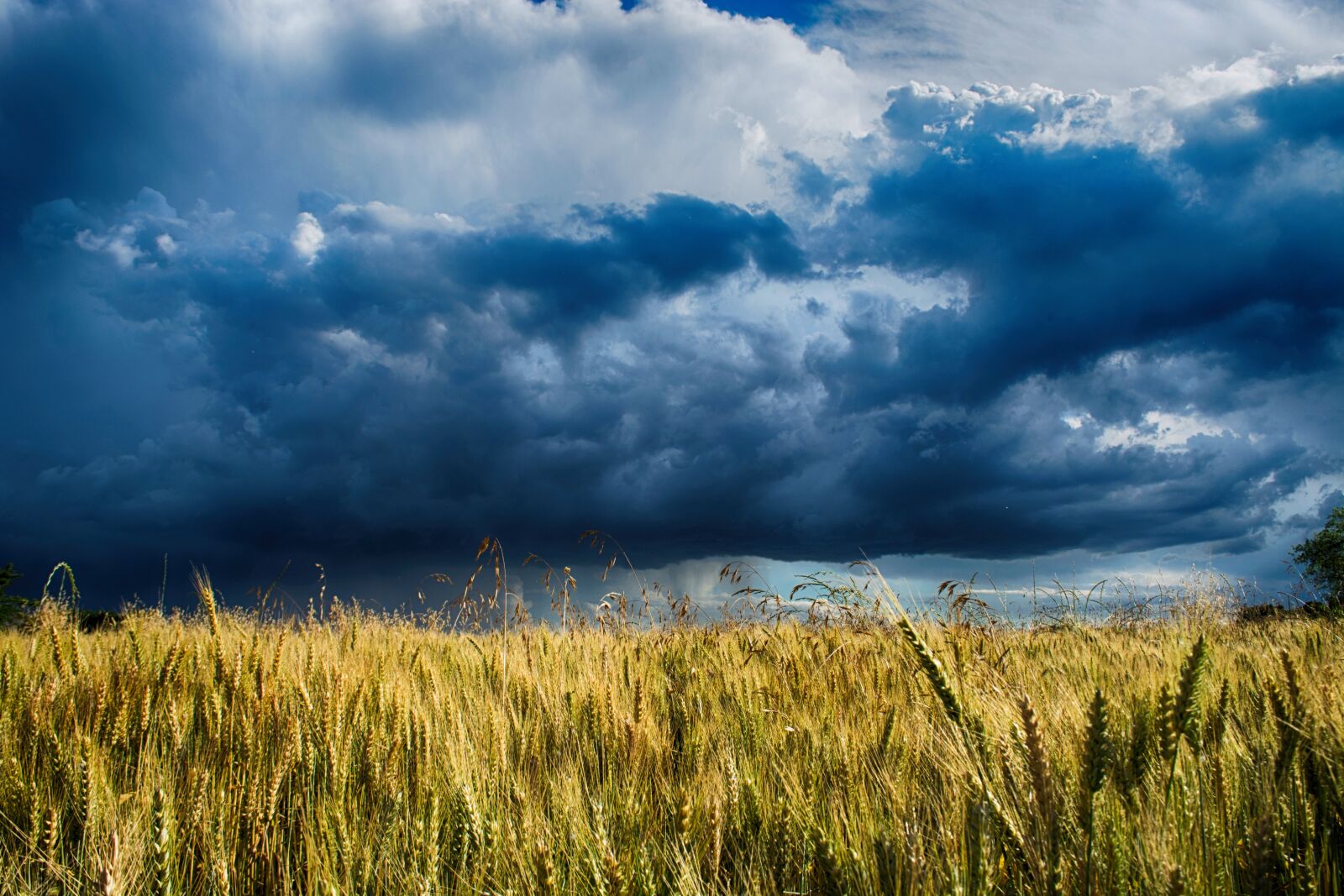 Nikon D5200 sample photo. Harvest, field, sky photography
