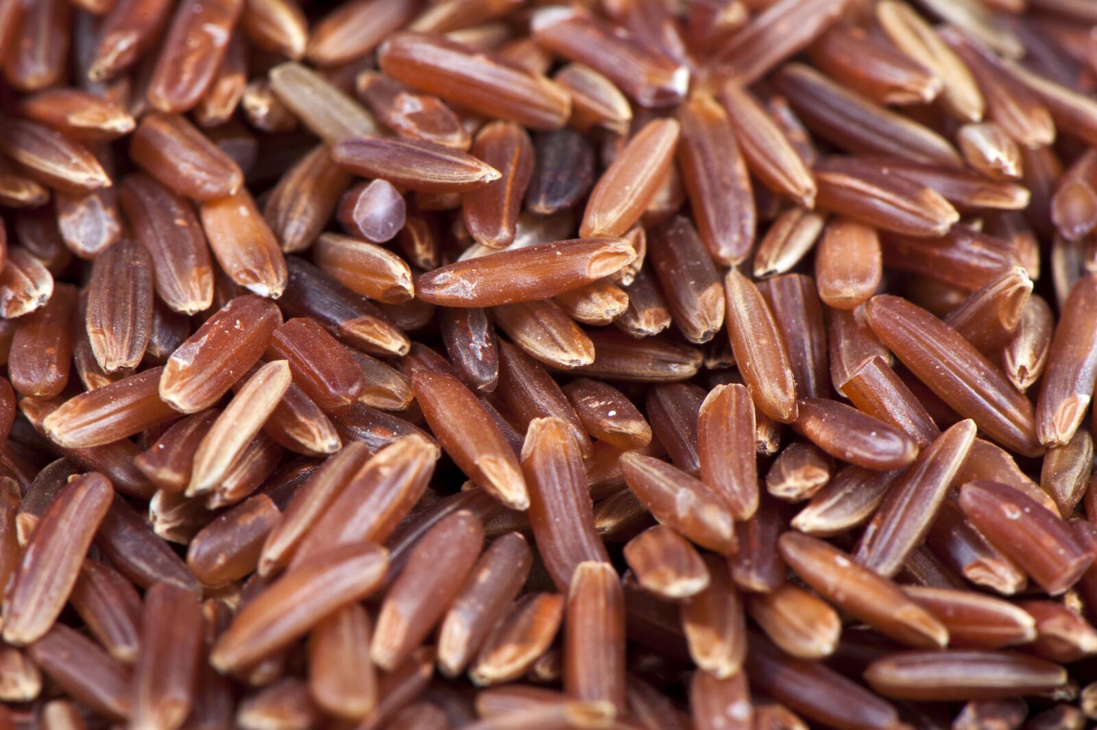 Nikon D700 sample photo. Rice, red, food photography