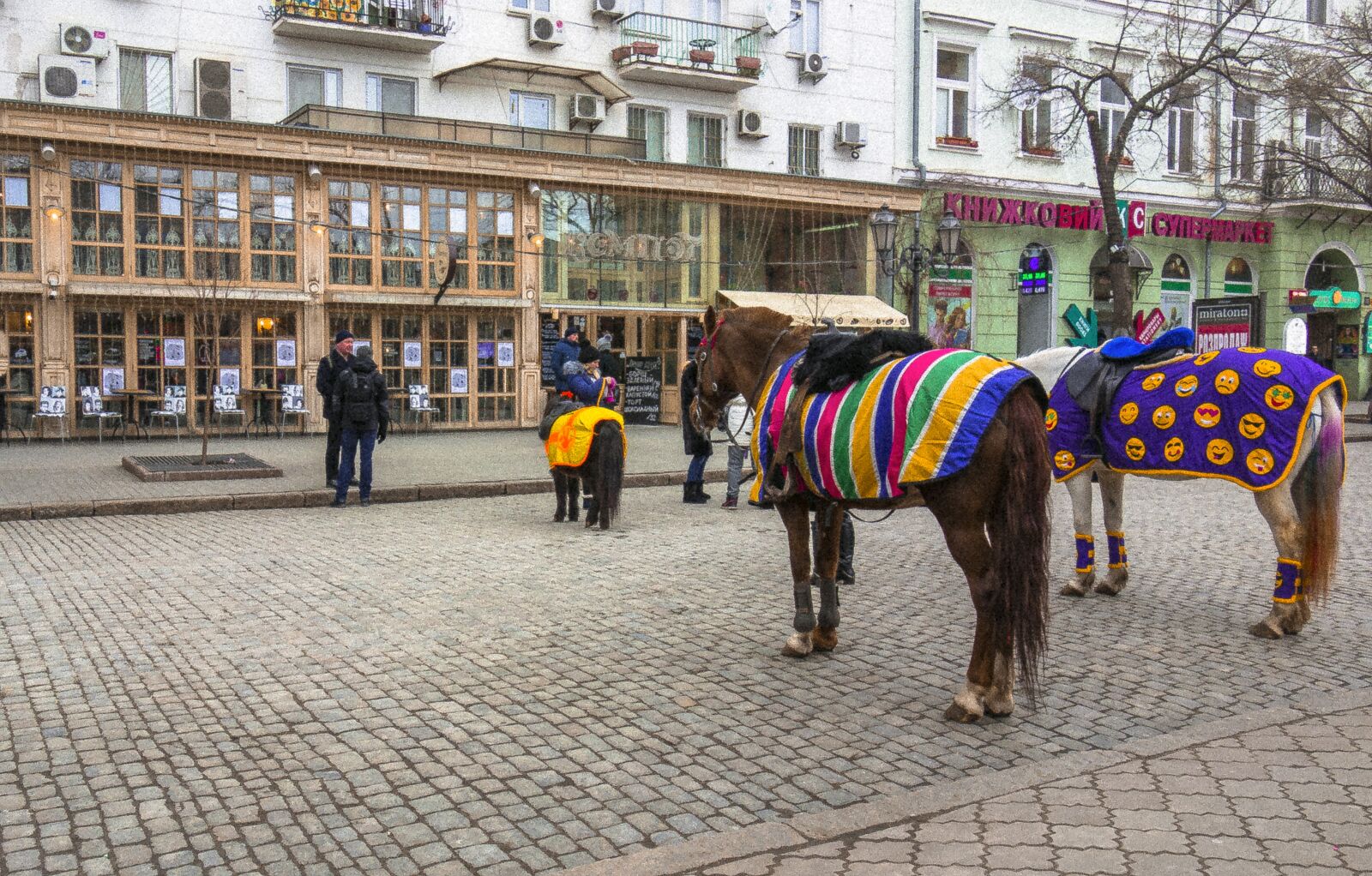 Sony Cyber-shot DSC-RX100 sample photo. Odessa, barabashevsky, horse photography