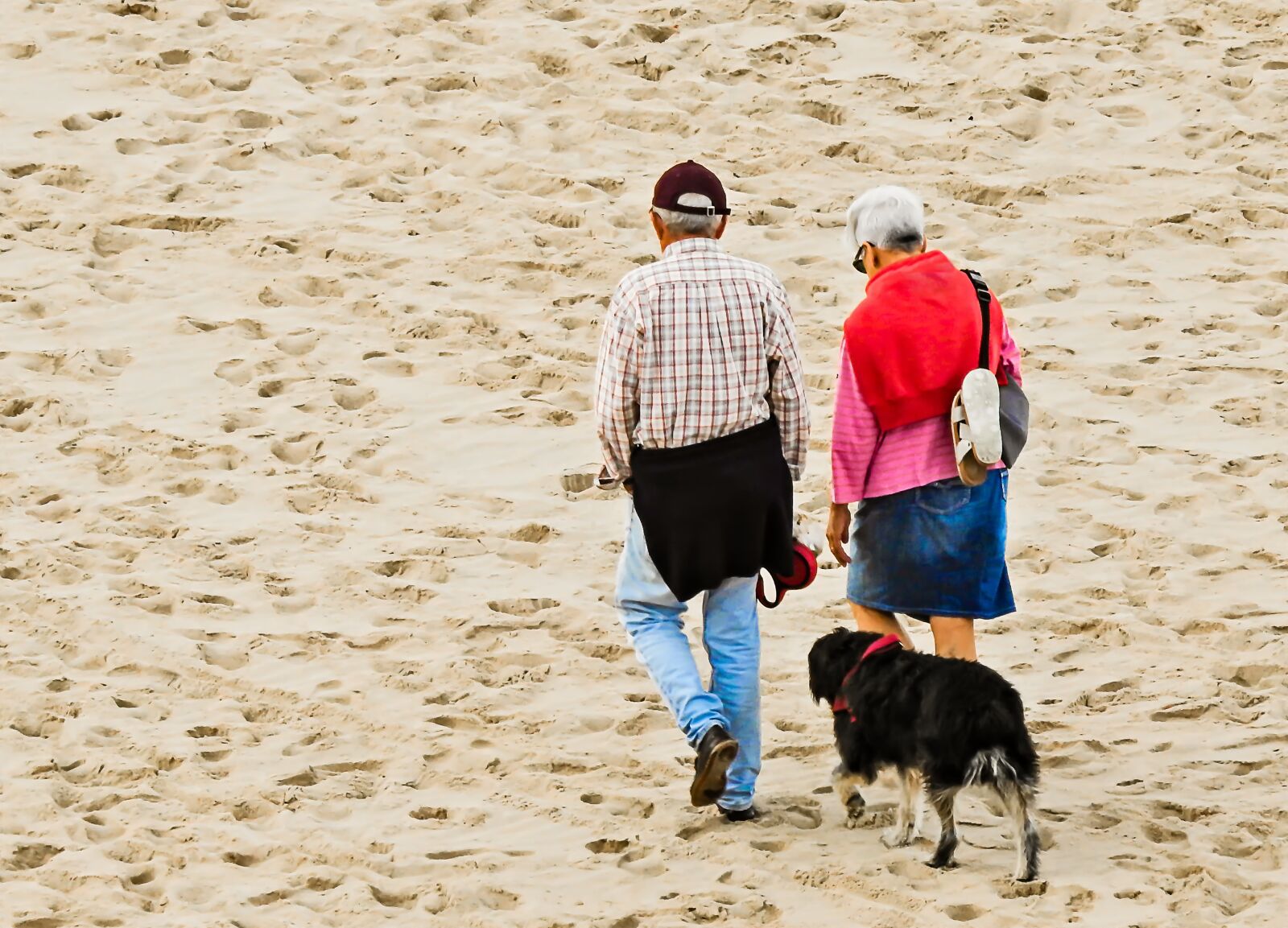Nikon Coolpix P900 sample photo. Couple, old, retirement photography