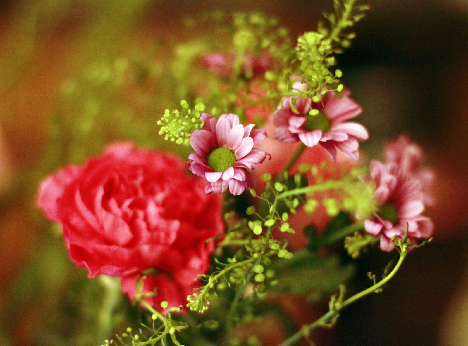 Canon EOS 500D (EOS Rebel T1i / EOS Kiss X3) sample photo. Flower, flowers, spring photography