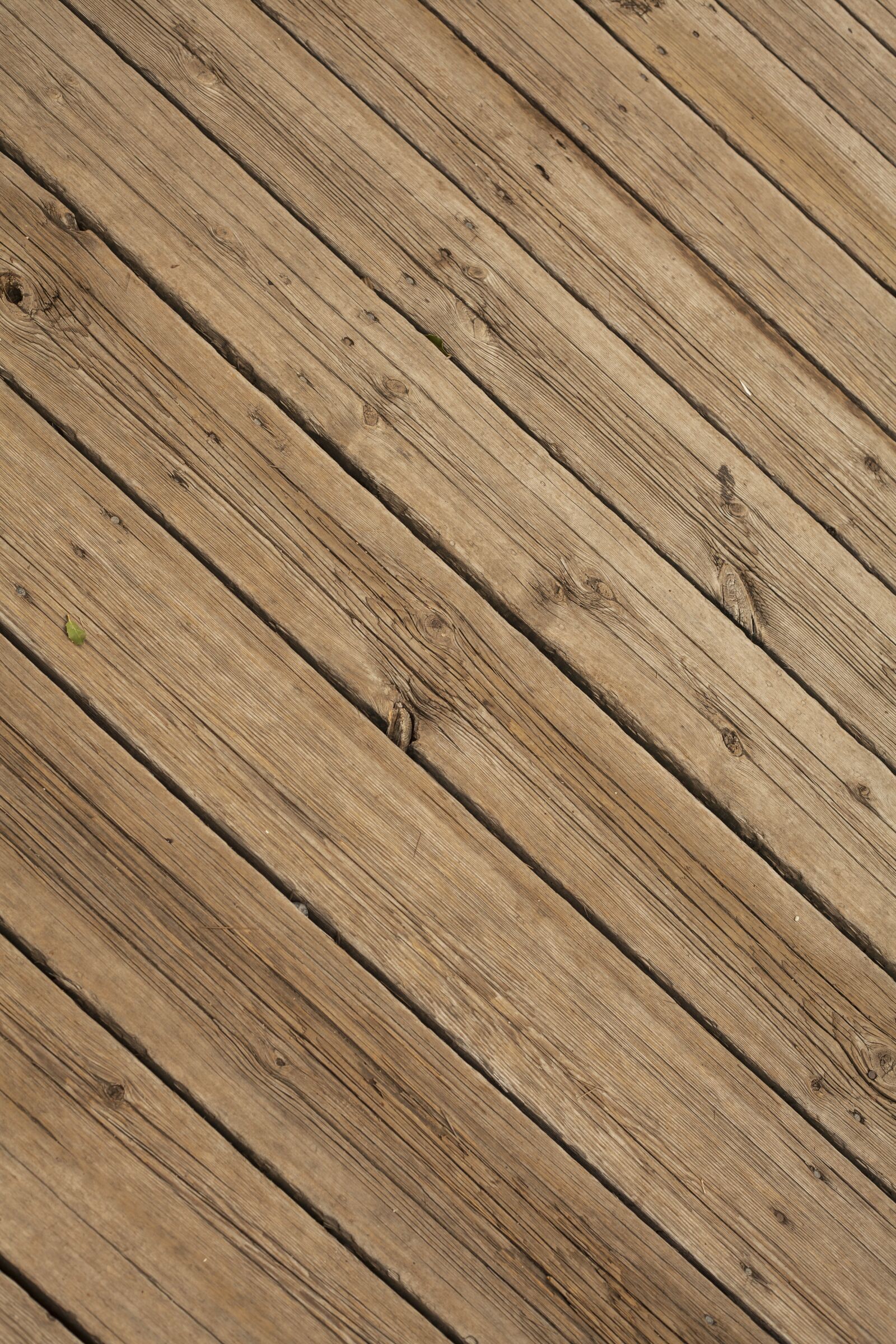 Canon EF 50mm F1.8 II sample photo. Wood-fibre boards, texture, vertical photography