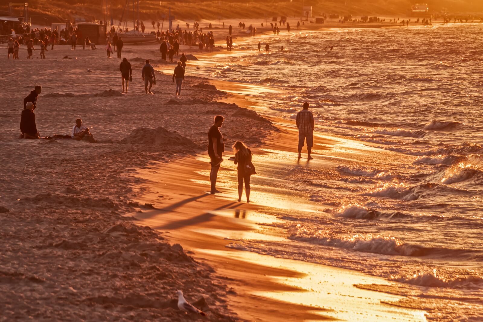 Canon EOS 80D sample photo. Beach, golden hour, sea photography