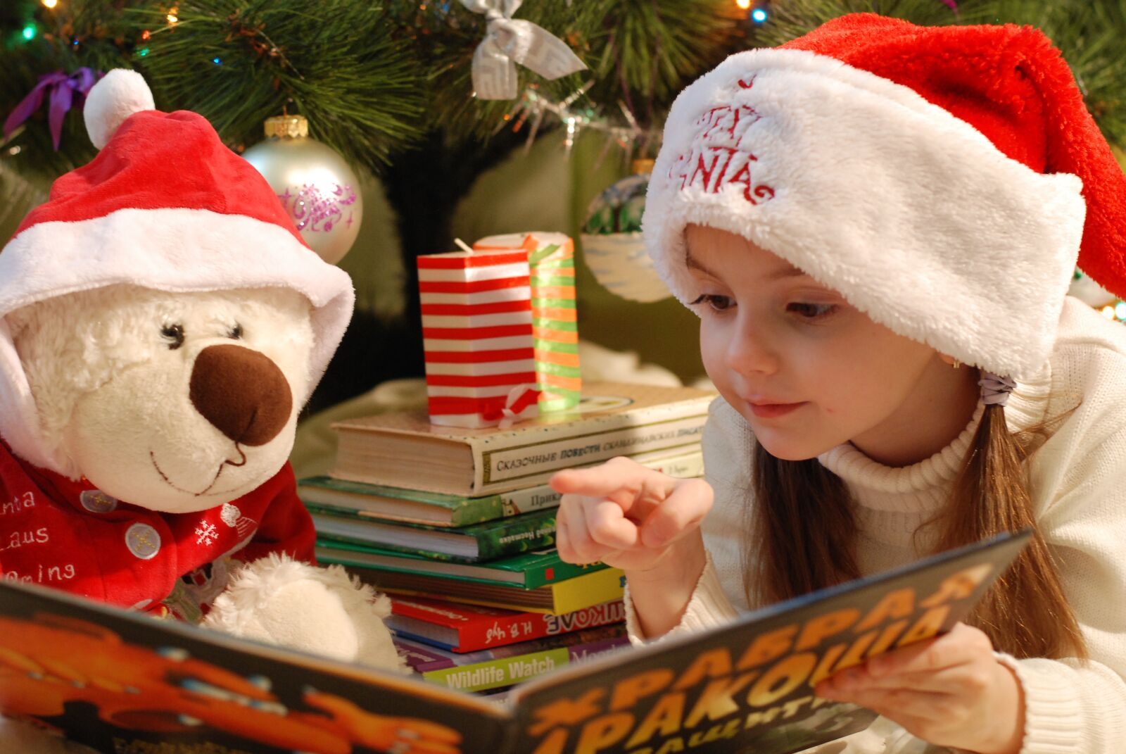Nikon D80 sample photo. Candle, girl, santa claus photography