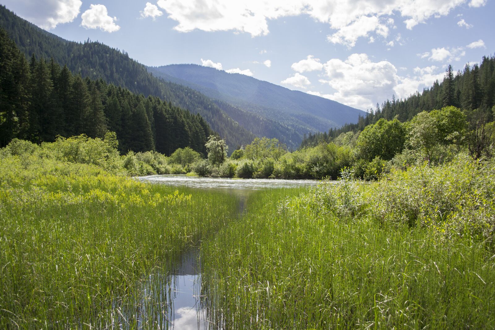 Nikon D3100 sample photo. Landscape, pond, marsh photography