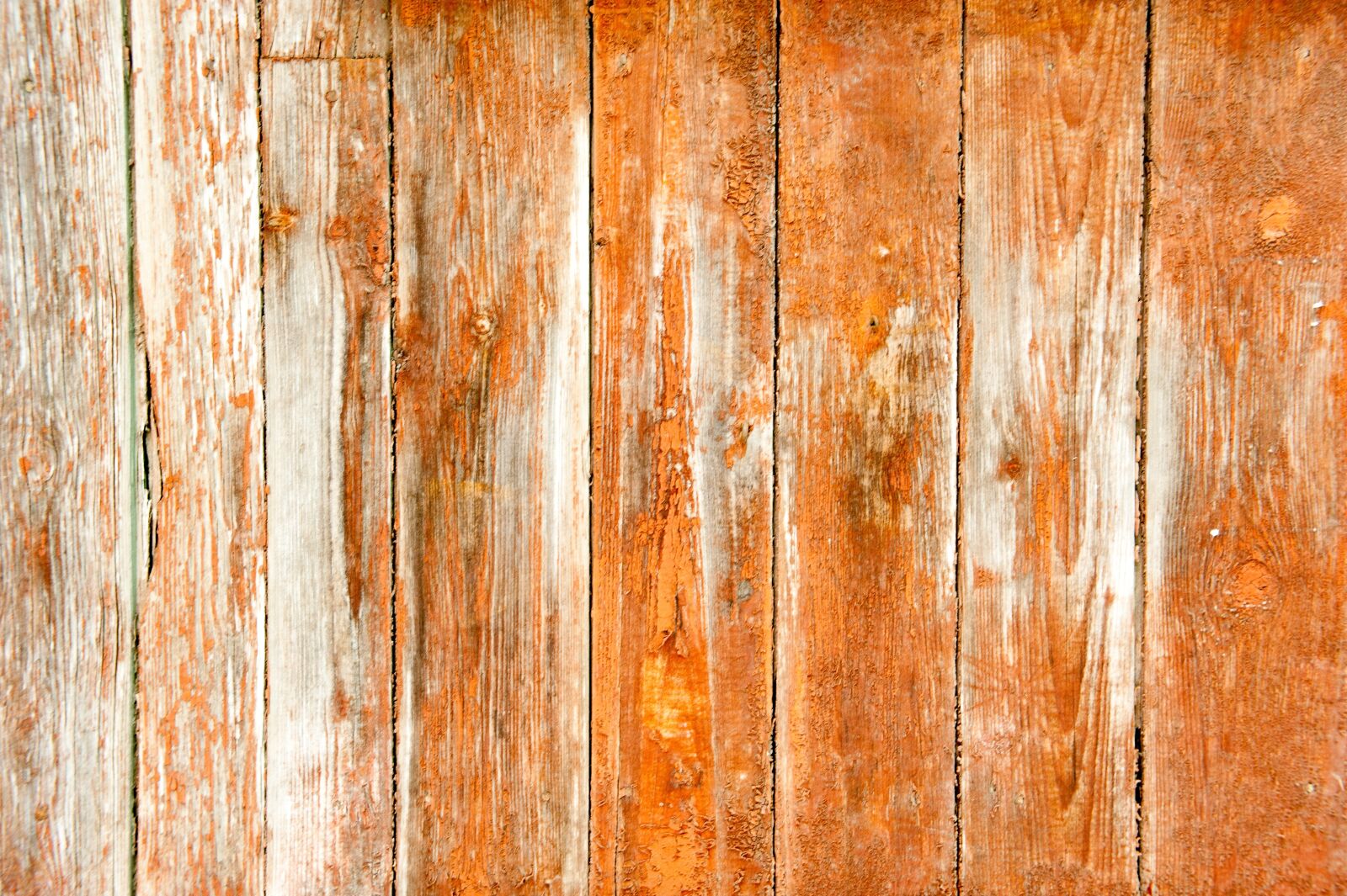 Nikon D700 sample photo. Old tree, orange, boards photography