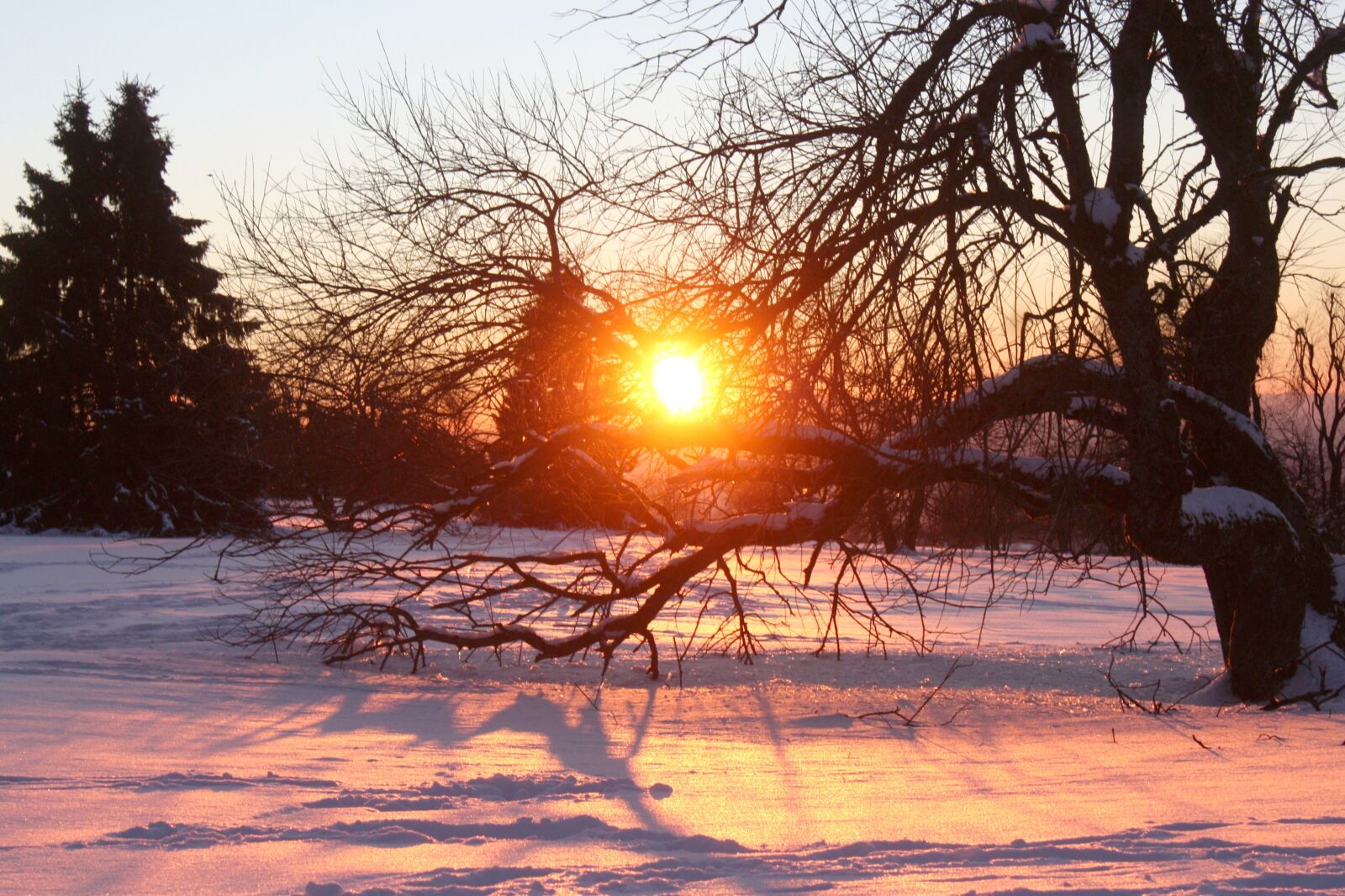 Canon EOS 450D (EOS Rebel XSi / EOS Kiss X2) sample photo. Sunset, winter, snow photography