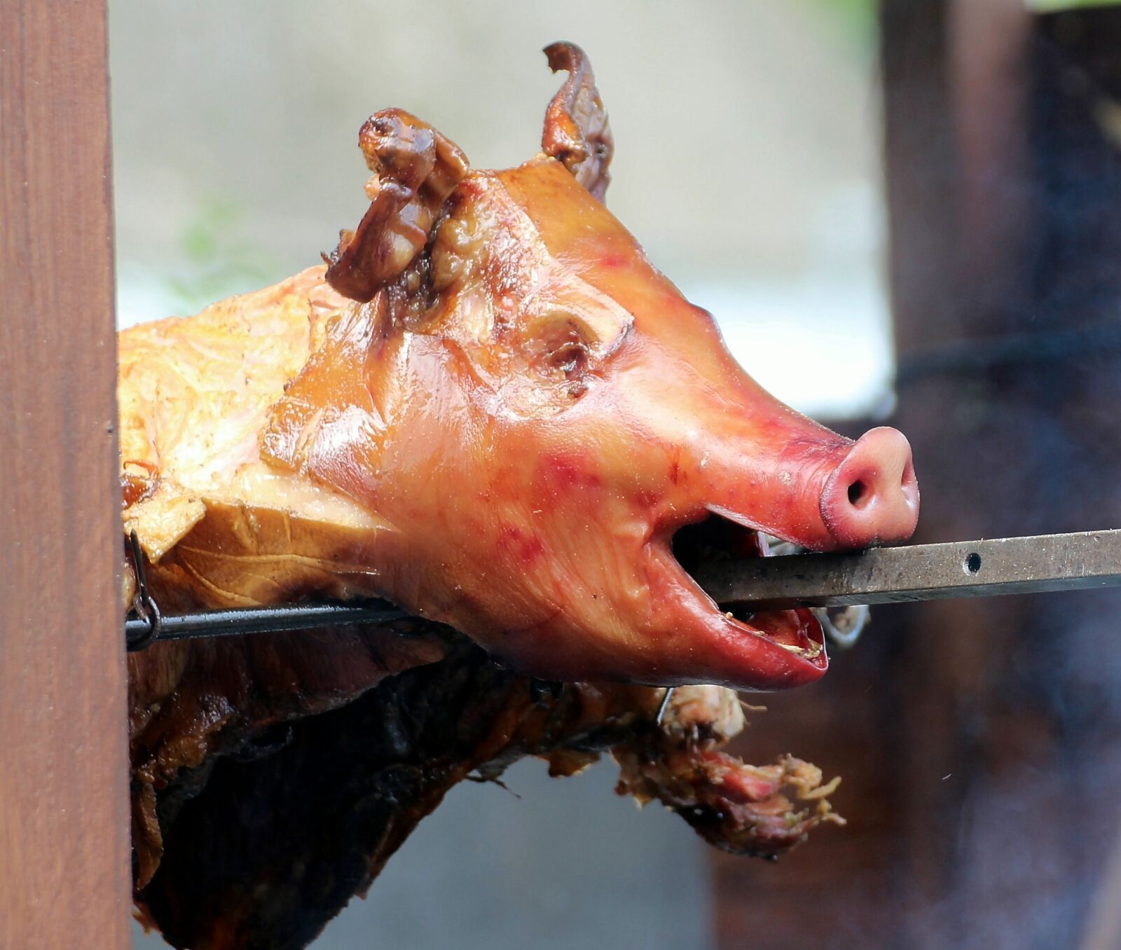Canon EOS 600D (Rebel EOS T3i / EOS Kiss X5) sample photo. Suckling pig, fry, meat photography