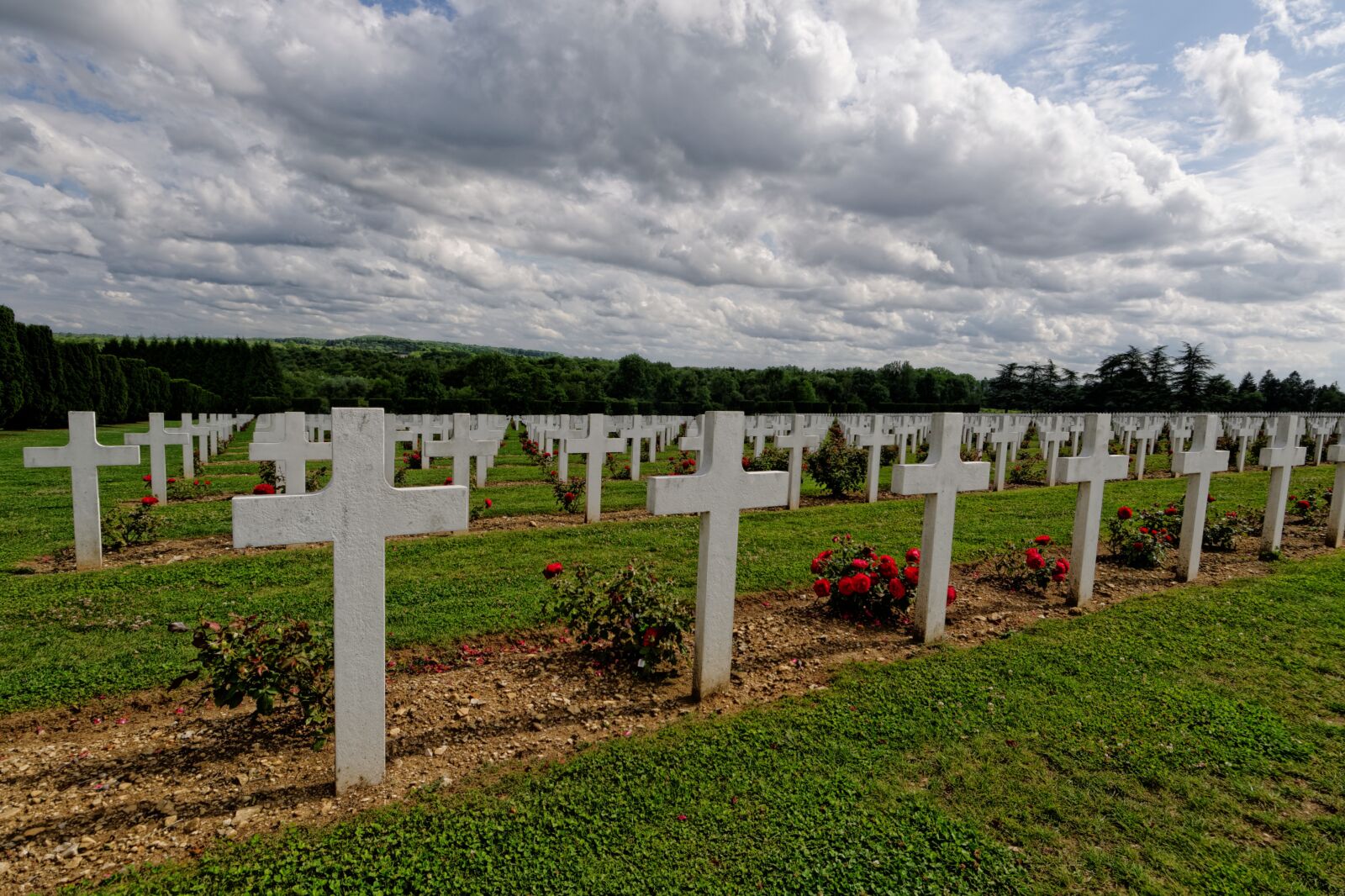 Nikon D300S sample photo. Graves, verdun, france photography