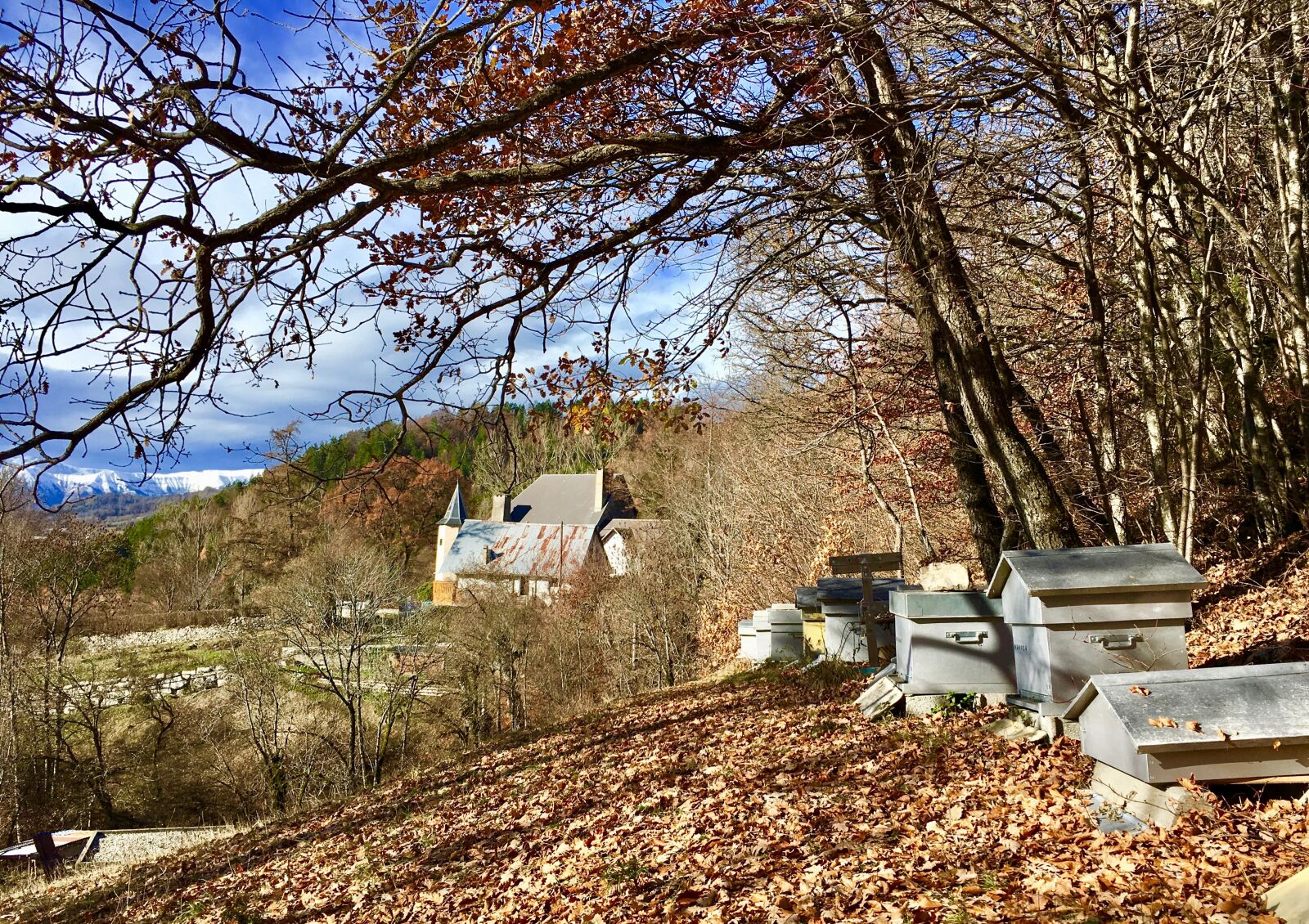 iPhone 6s Plus back camera 4.15mm f/2.2 sample photo. Hive, landscape, bees photography