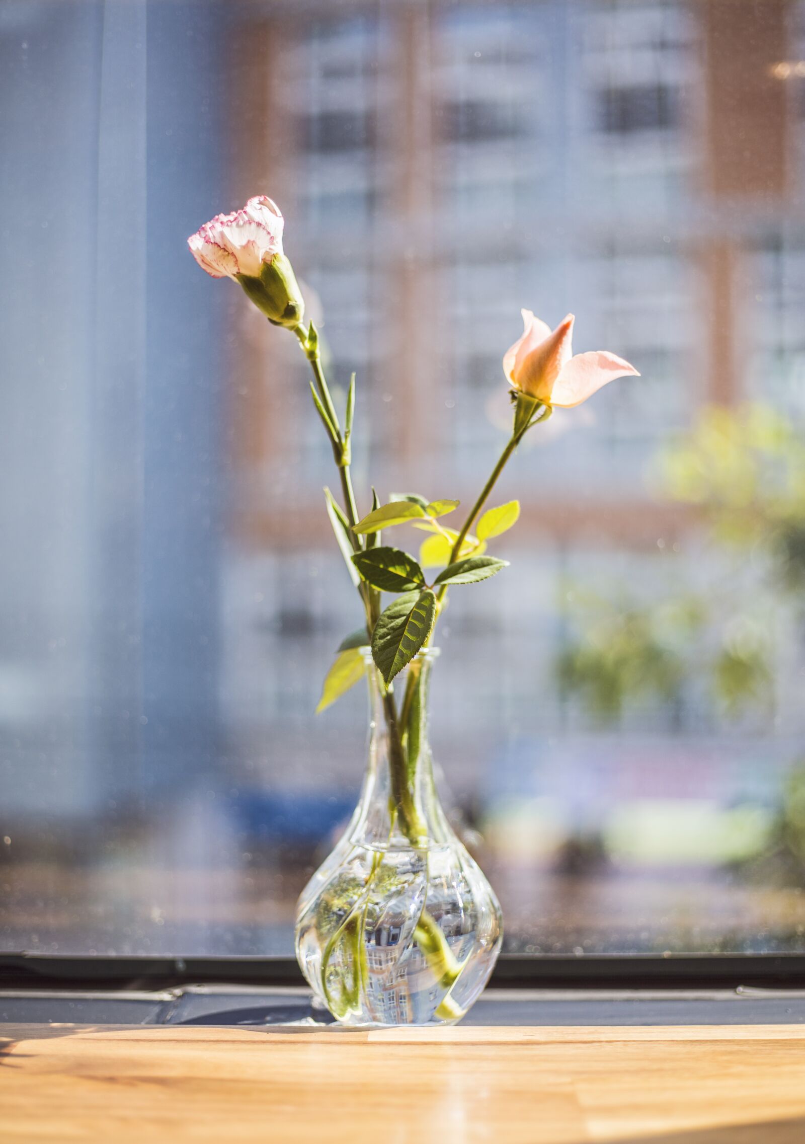 Canon EOS 5D Mark III sample photo. Flowers, vase, potted plant photography