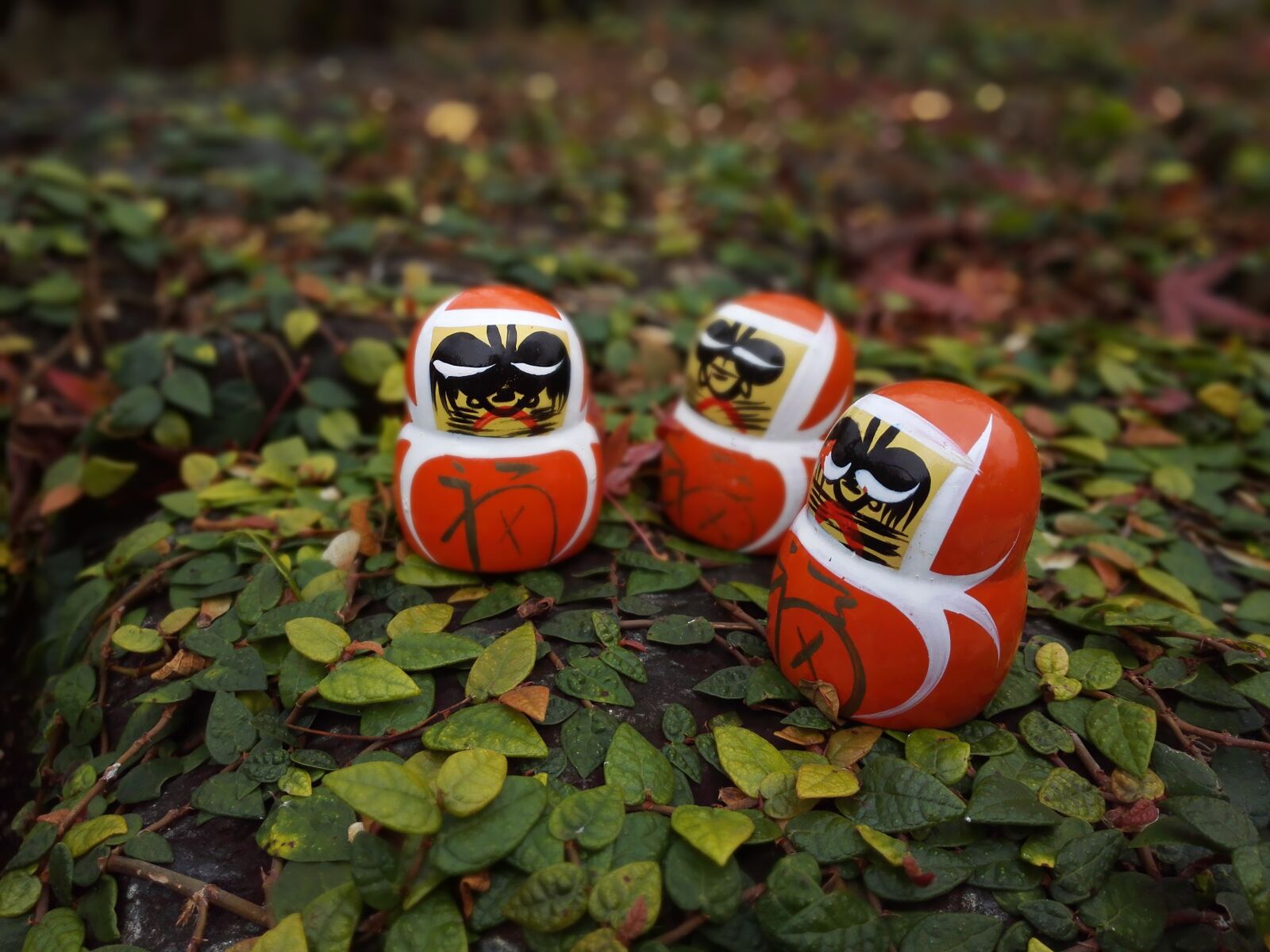 HUAWEI PE-TL10 sample photo. Daruma doll, dharma, tumbling photography