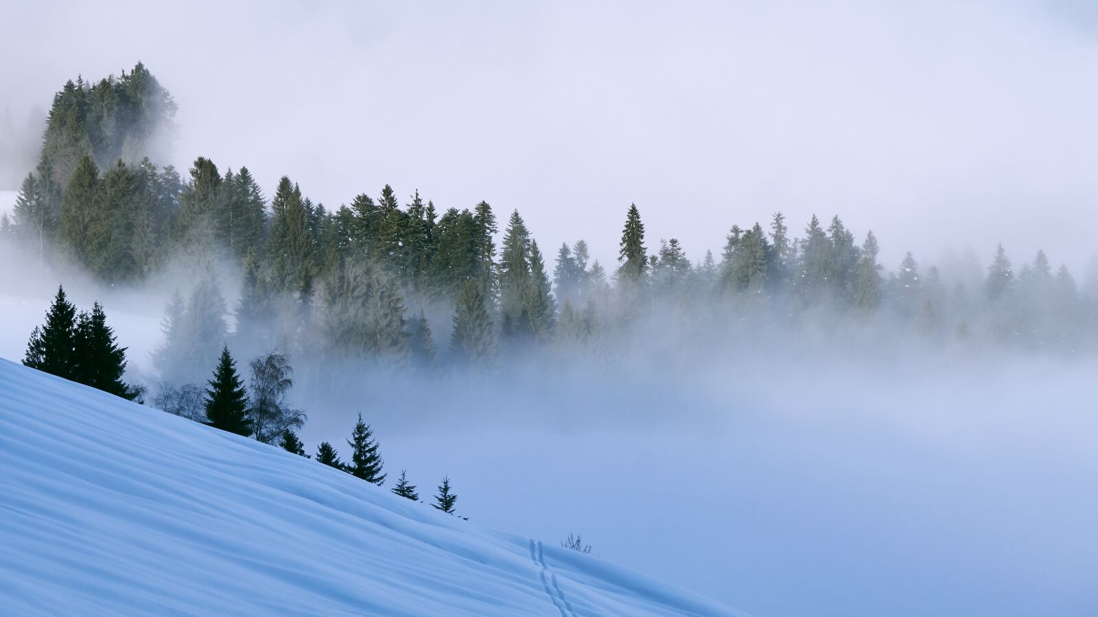 Sony a6000 sample photo. Traces, snow, fog photography