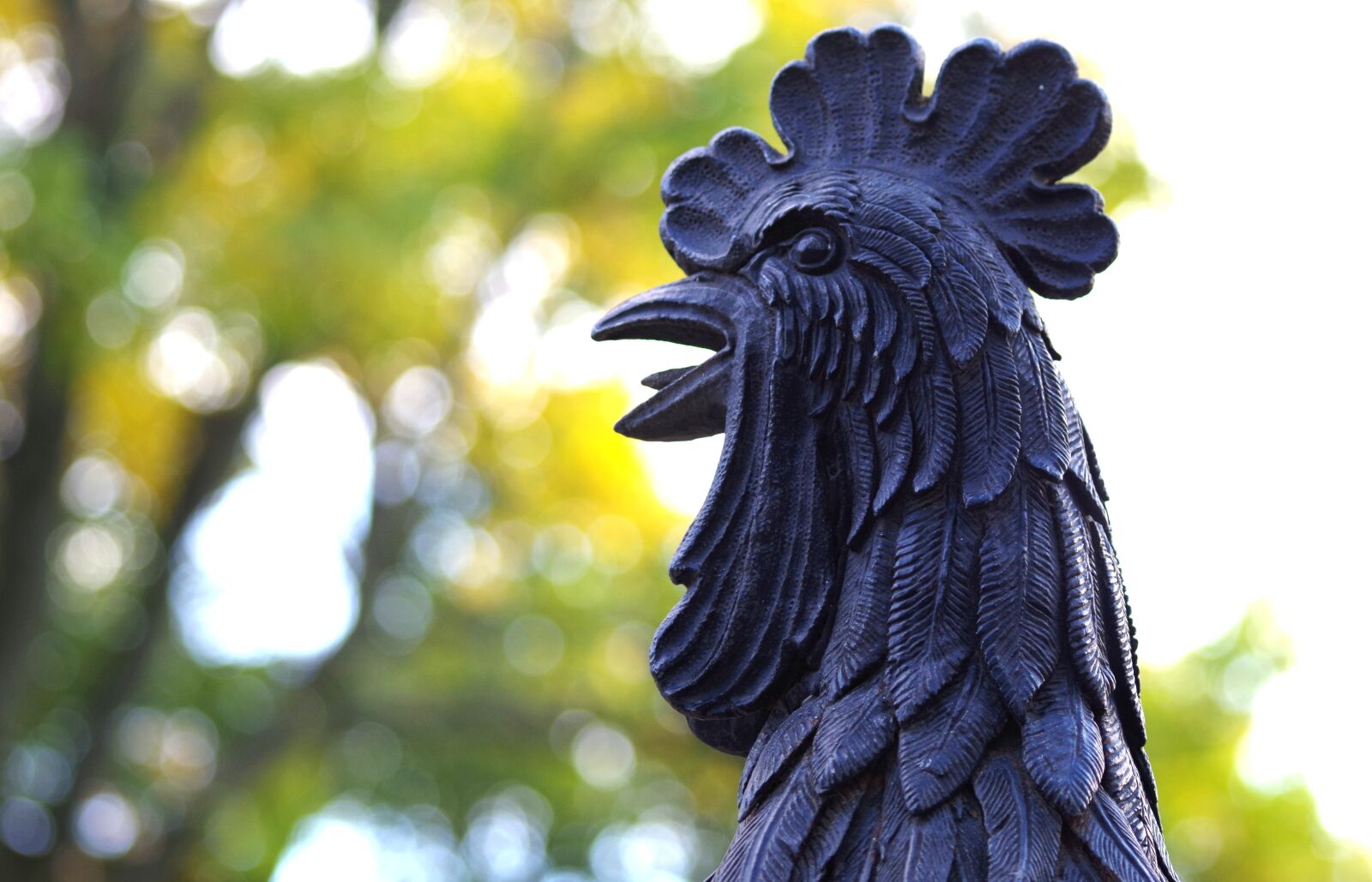Pentax K-30 sample photo. Hahn, crow, sculpture photography