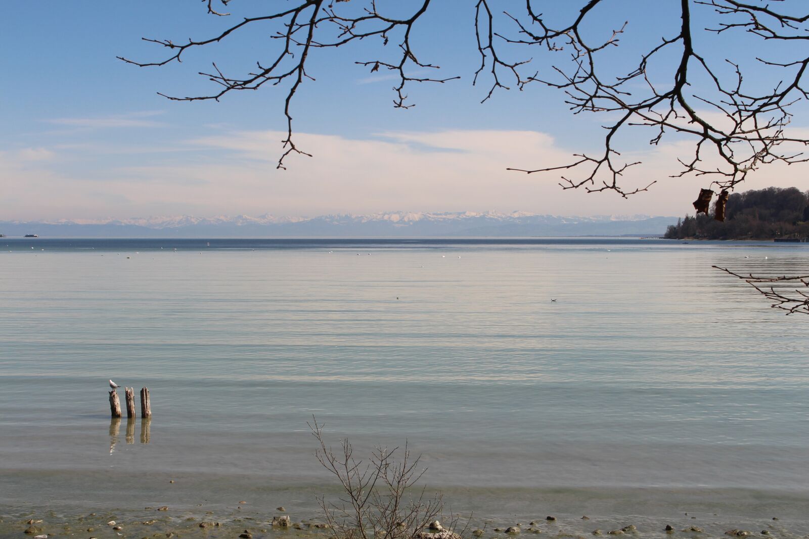 Canon EOS 700D (EOS Rebel T5i / EOS Kiss X7i) sample photo. Lake constance, mainau, water photography