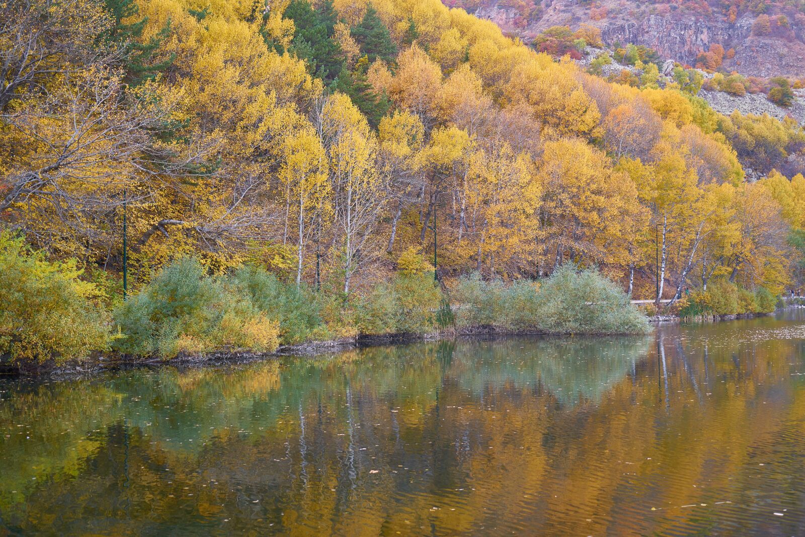 Sony a7R II sample photo. Autumn, season, landscape photography