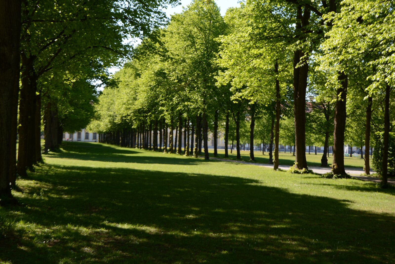 Nikon D7100 sample photo. Nature, green, landscape photography