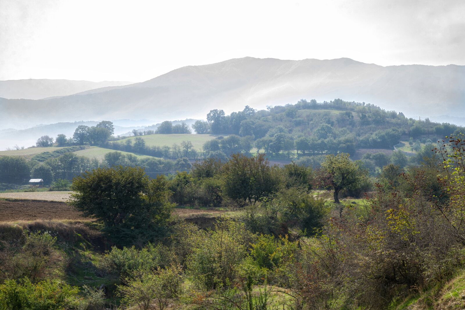 Nikon D610 sample photo