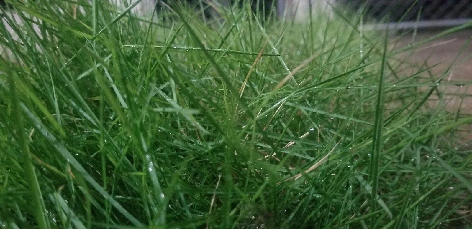 Samsung Galaxy S8 sample photo. Agua, de, mayo photography