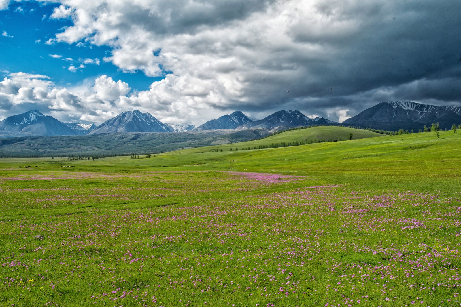 Nikon D800E sample photo. Landscape, the mongolian and photography