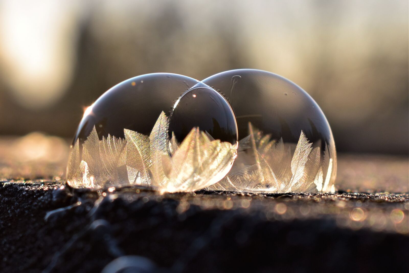 Nikon D5500 sample photo. Soap bubble, frozen, eiskristalle photography