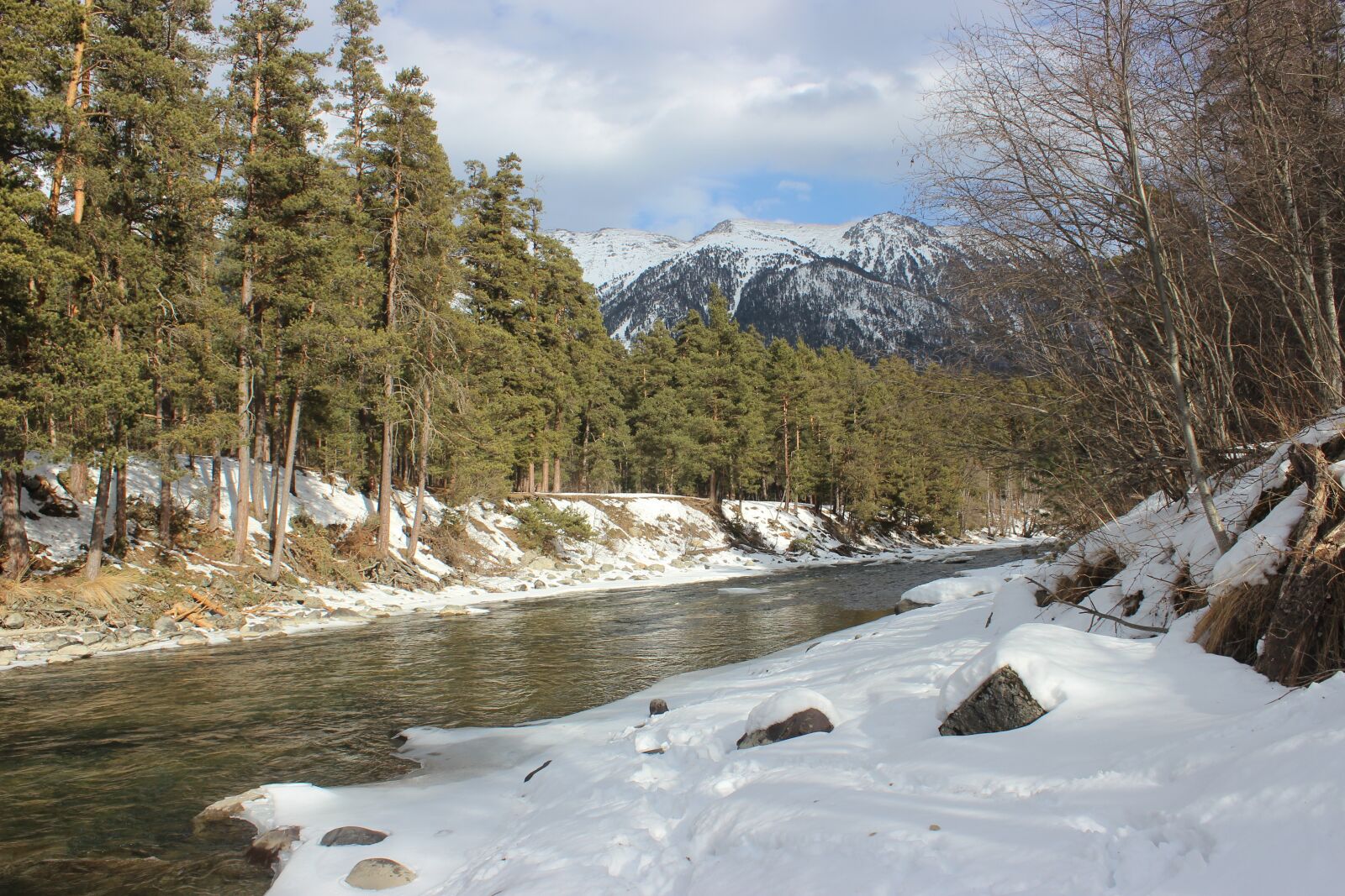 Canon EOS 600D (Rebel EOS T3i / EOS Kiss X5) sample photo. Arkhyz, mountains, forest photography