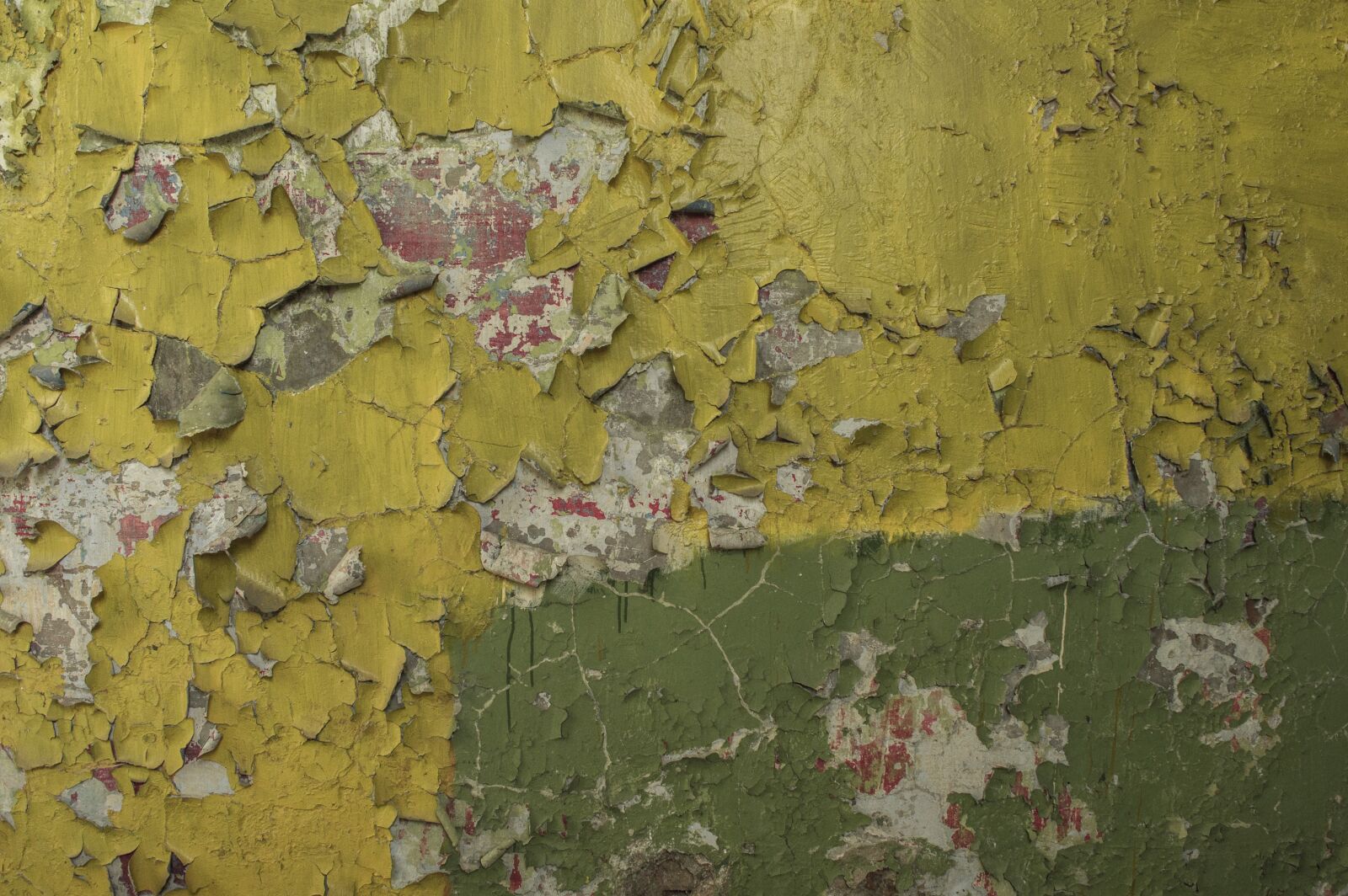 Nikon D3200 sample photo. Wall, paint, yellow photography