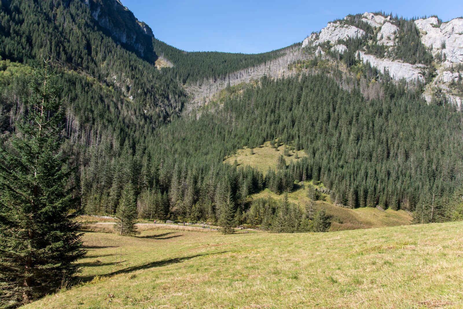 Nikon D7100 sample photo. Tatry, ko cieliska valley photography