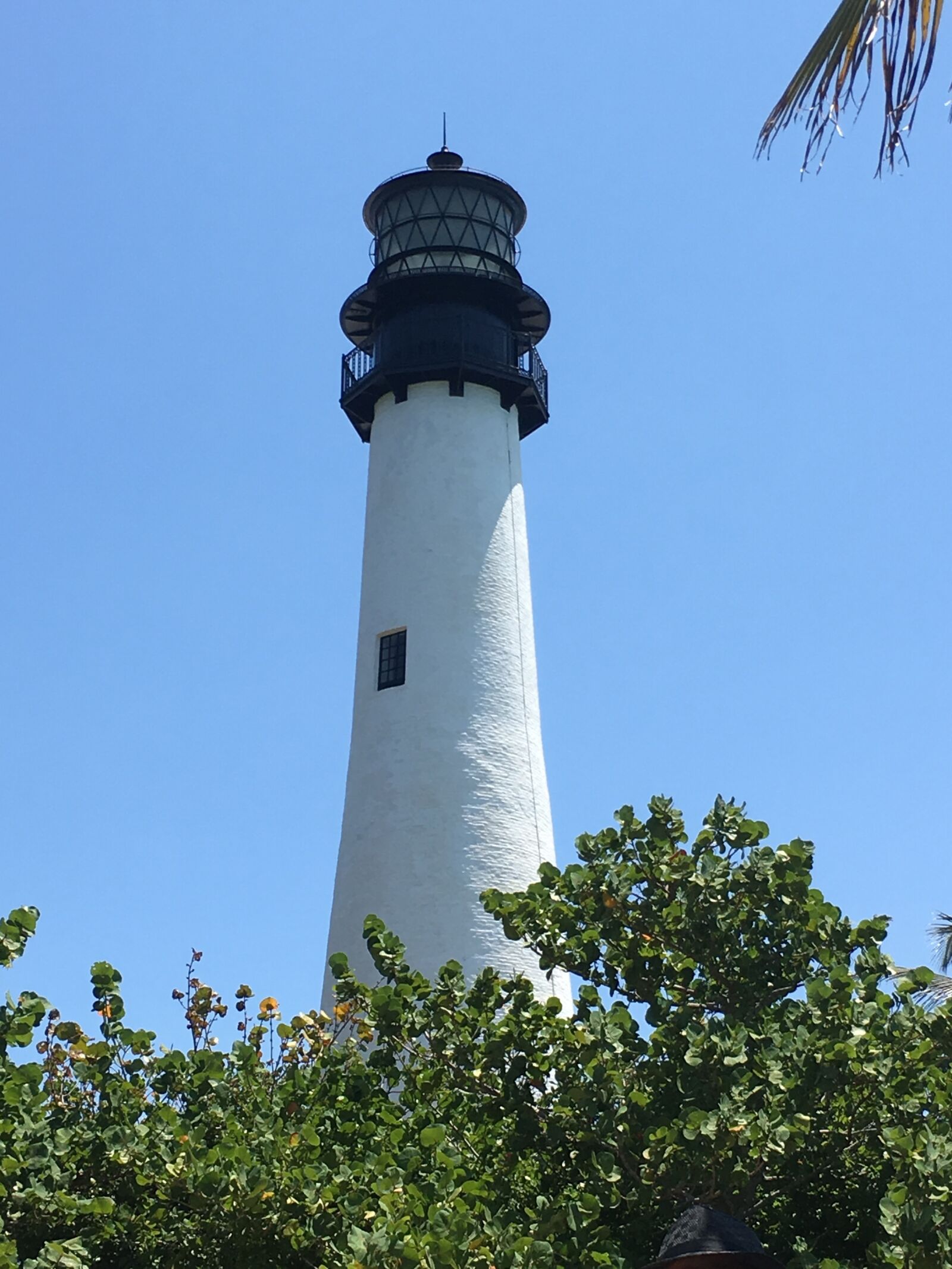 Apple iPhone 6s sample photo. Lighthouse, florida, sea photography