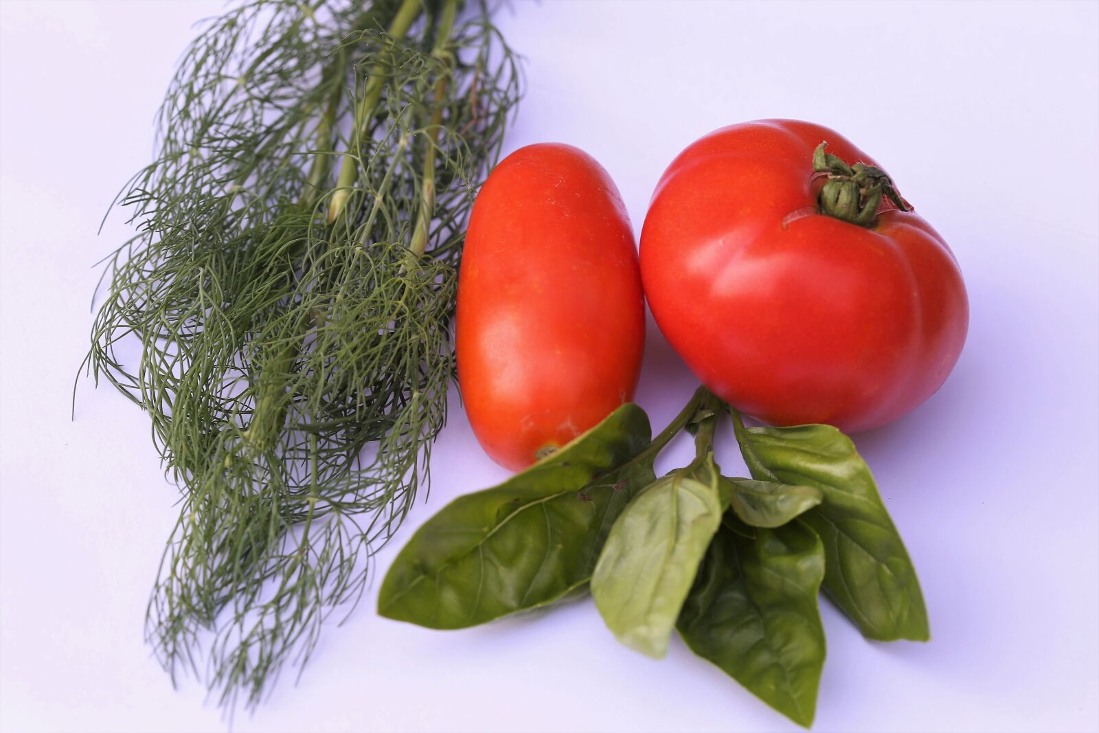 Canon EOS 6D + Canon EF 100mm F2.8 Macro USM sample photo. Basil, tomatoes, dill photography