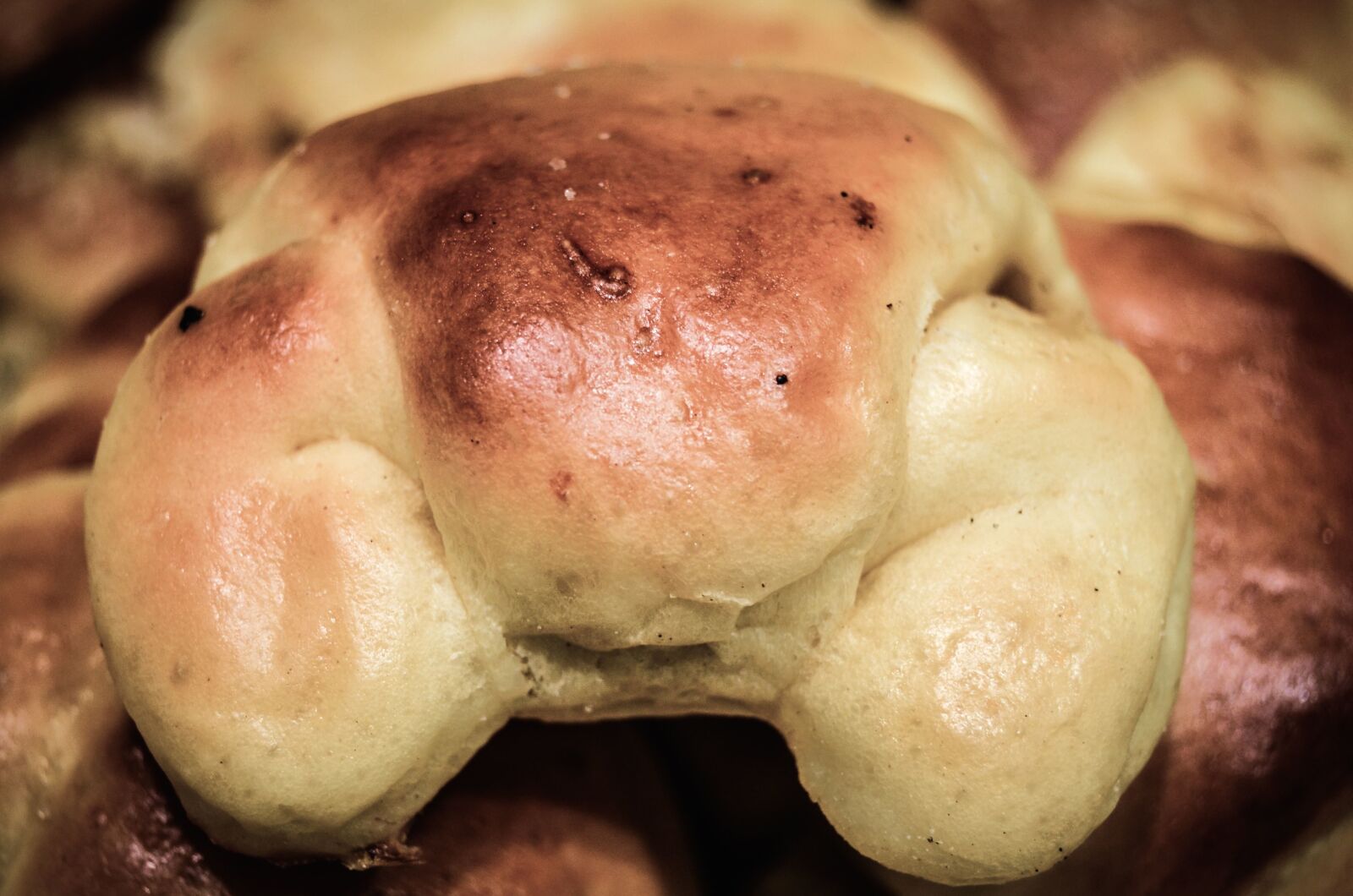 Nikon D5100 sample photo. Diet, pastry, bread, food photography
