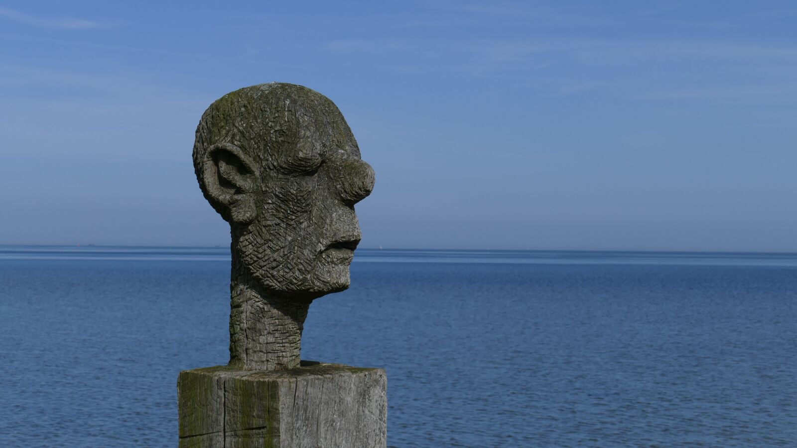 Leica V-Lux (Typ 114) sample photo. Sculpture, sea, wood photography
