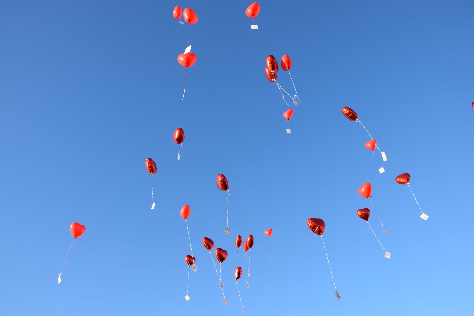 Nikon D5300 sample photo. Balloons, sky, blue photography