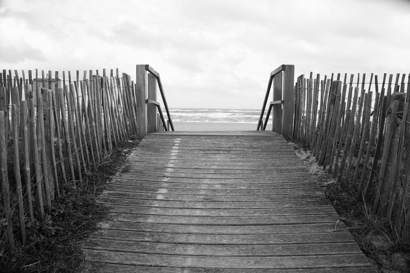 Canon EOS 5D Mark III sample photo. Wood, beach, sea photography