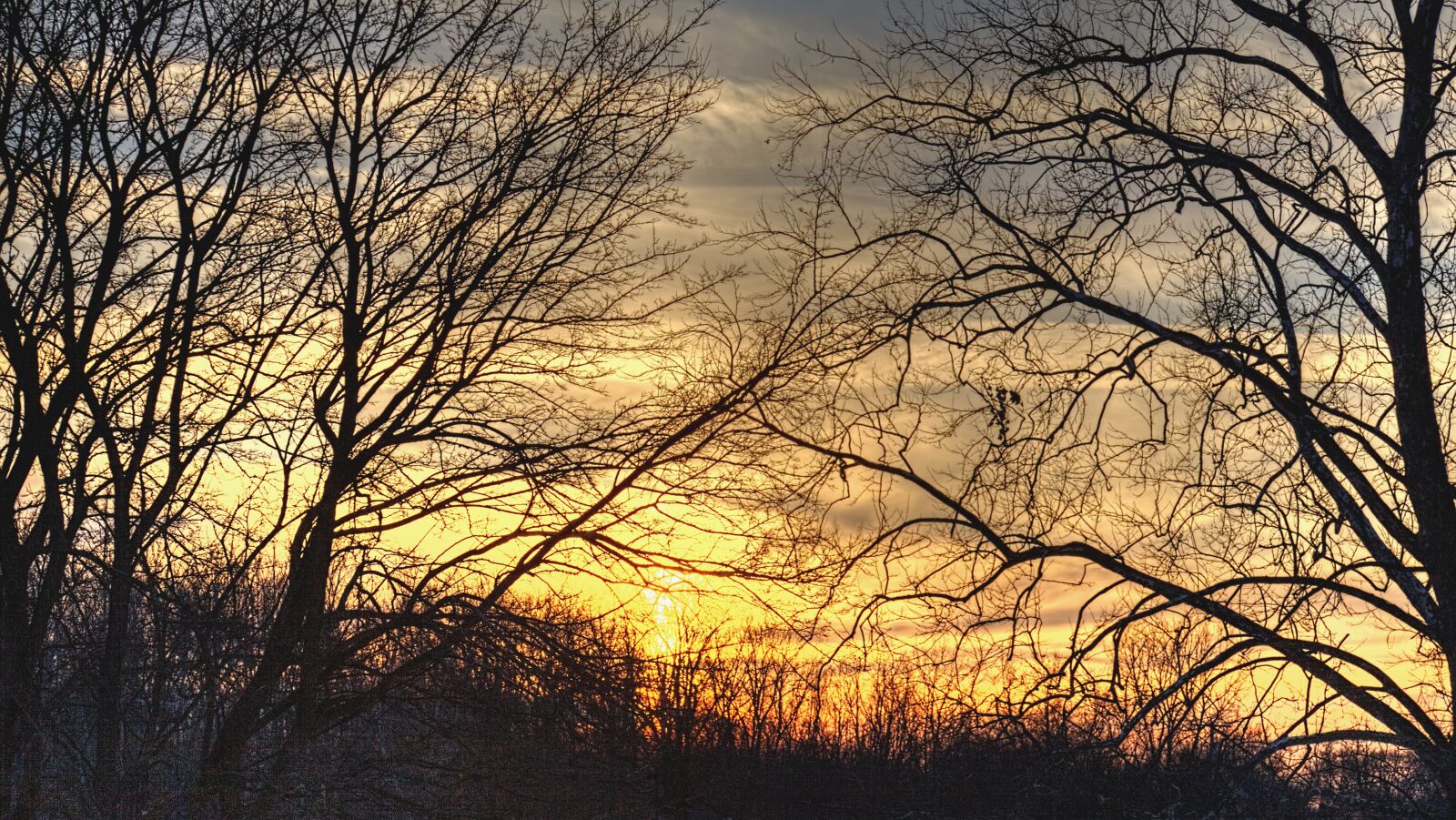 Canon EOS 5D Mark II sample photo. Sunset, scenery, trees photography